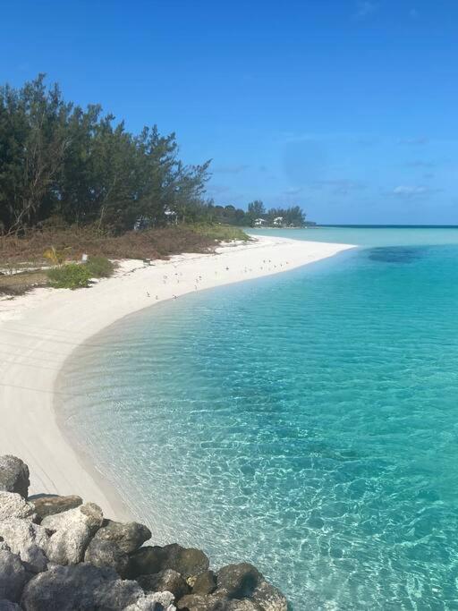 Island Vibe By the Sea