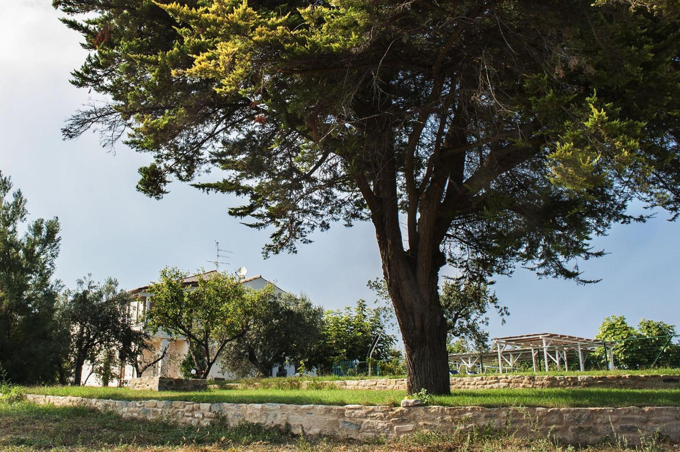 Villa Degli Aranci view 5