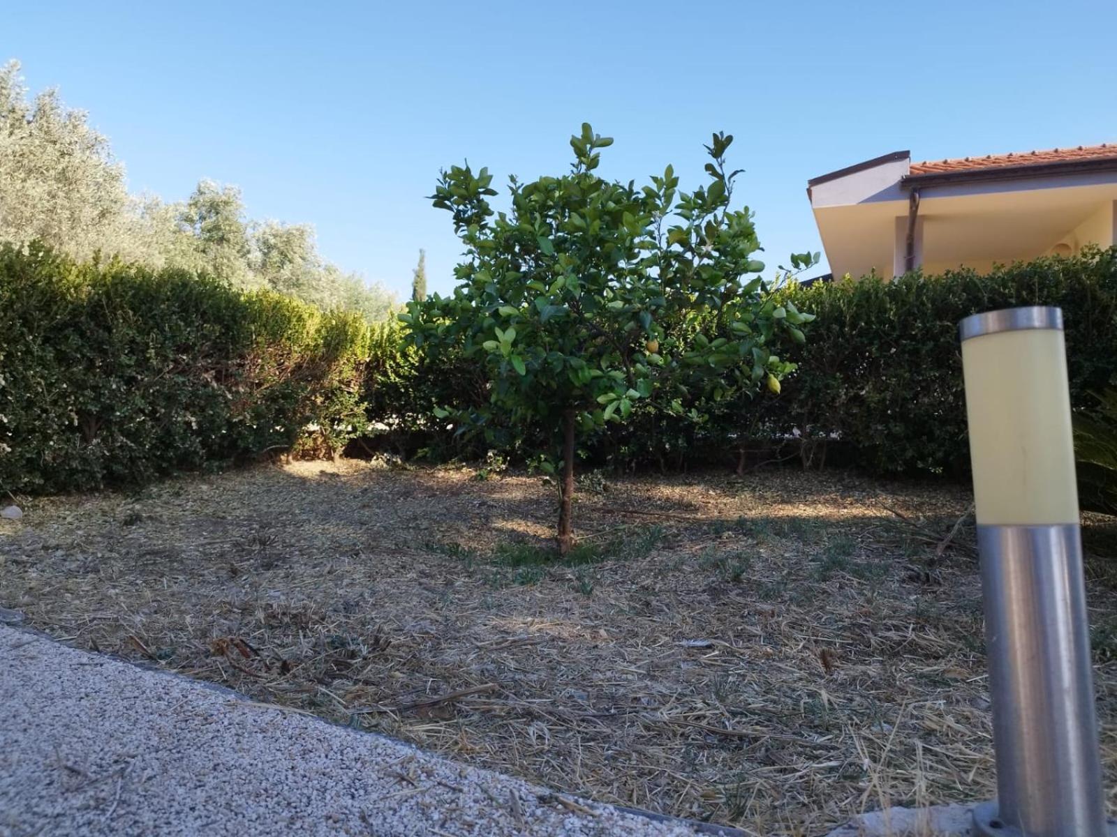 Casa di Fiore