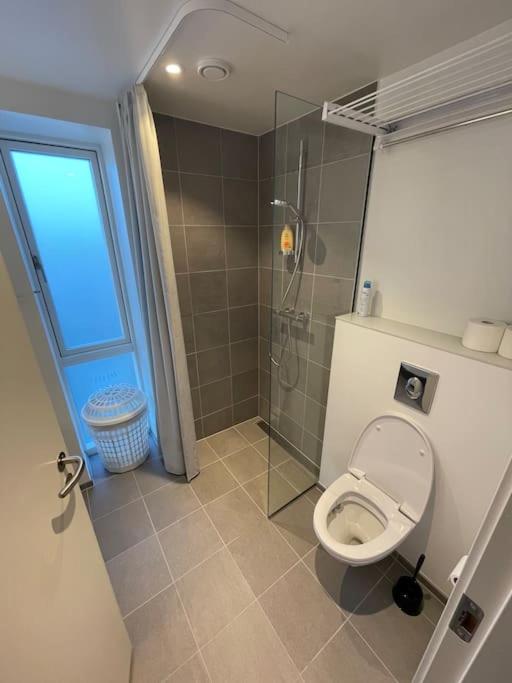 Central og rolig lejlighed med gratis parkering