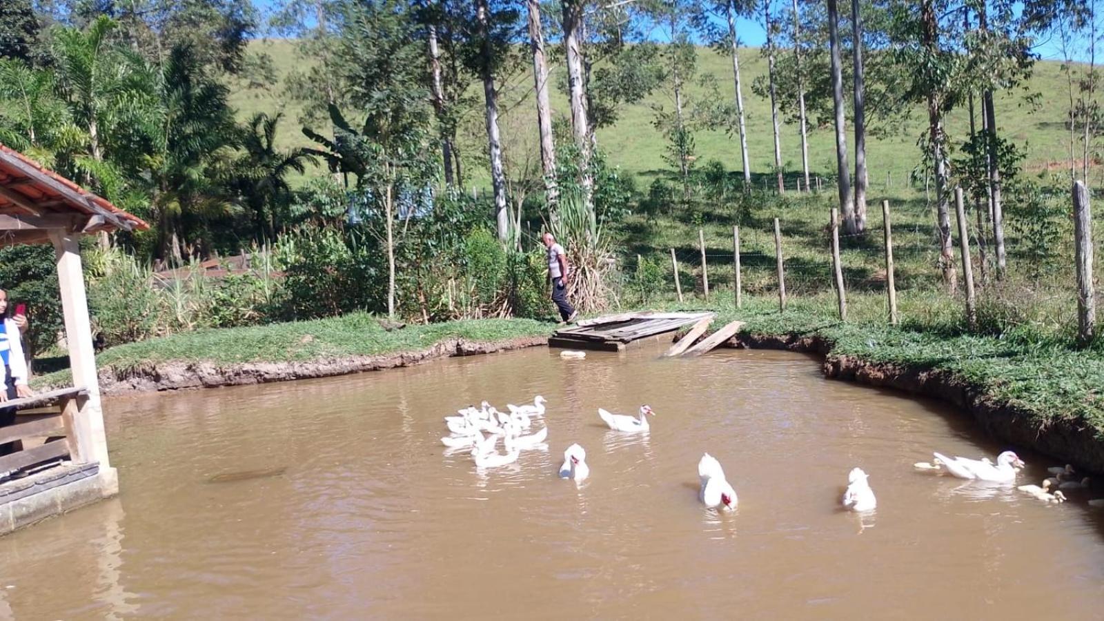 Casa de Campo Pé da Serra - Sitio em Campos Novos de Cunha