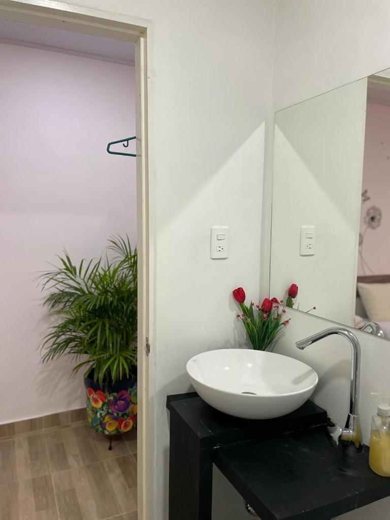 Hotel Padua