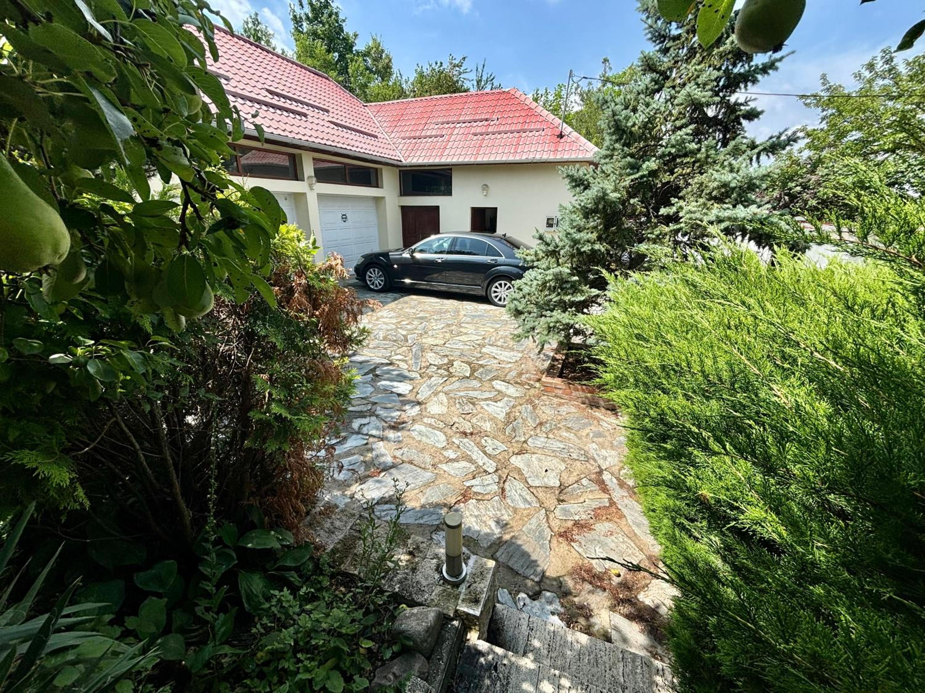 Photo 45