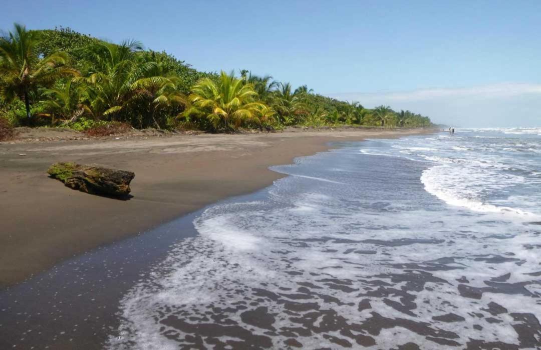The Secret Eco Lodge