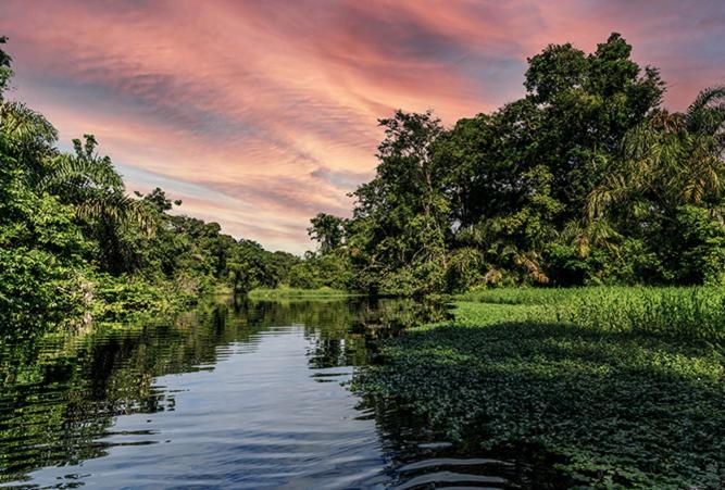 The Secret Eco Lodge