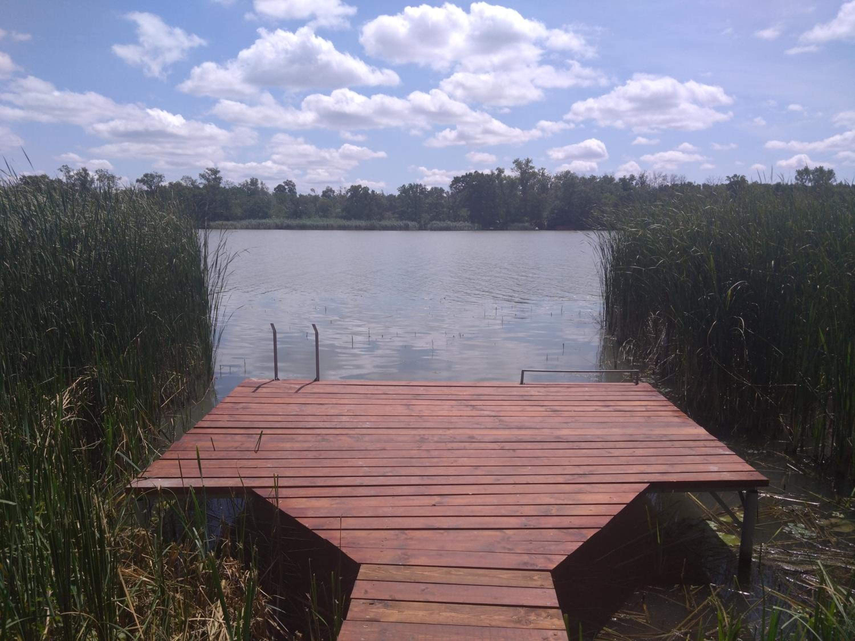 Photo 42