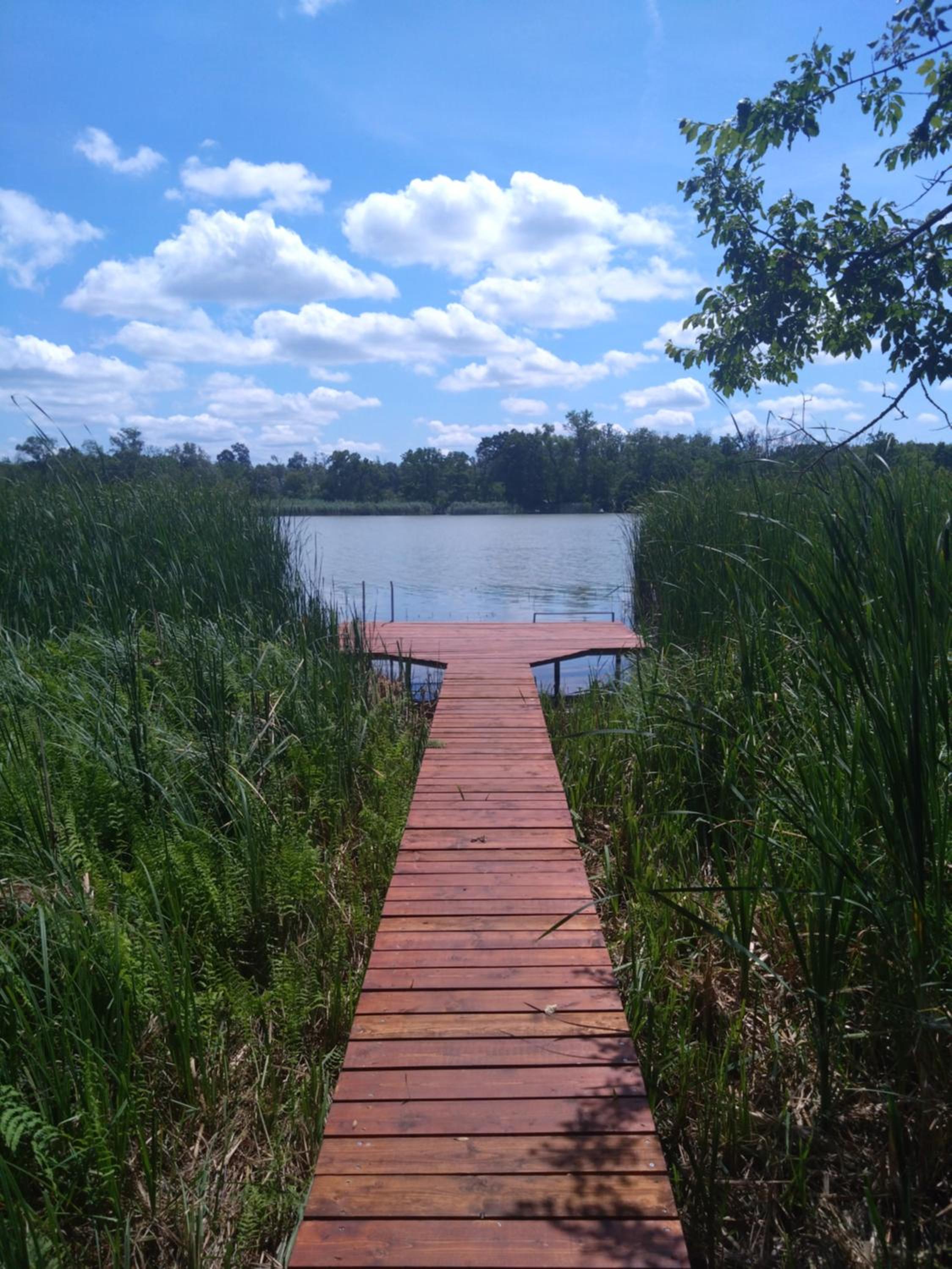 Photo 43