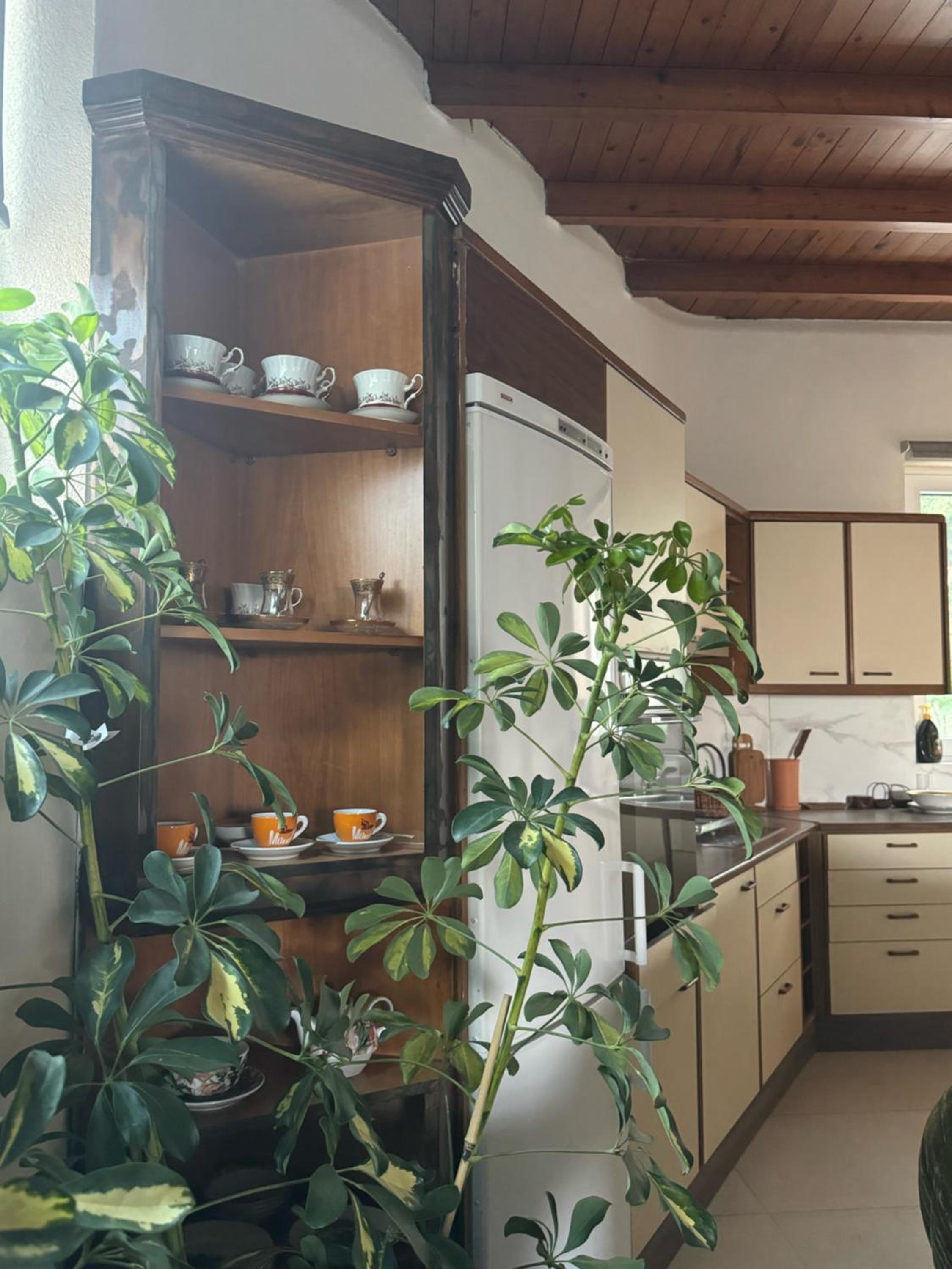 Classic apartment Meronas