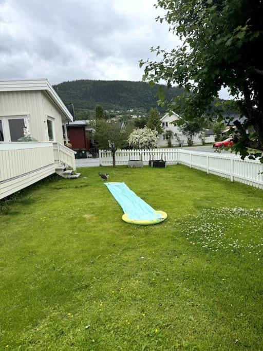 Photo 25