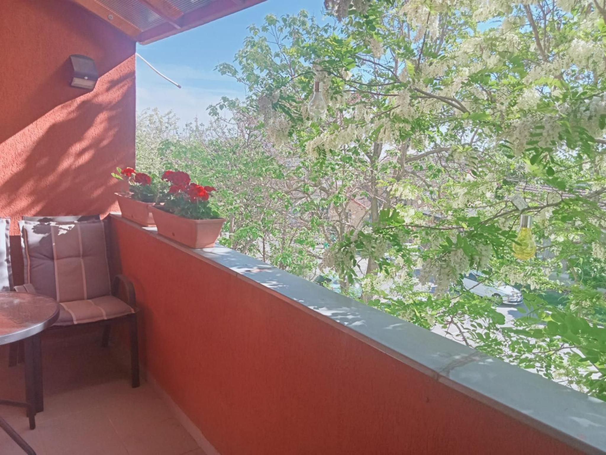 Apartament Miloia-Timisoara view 3