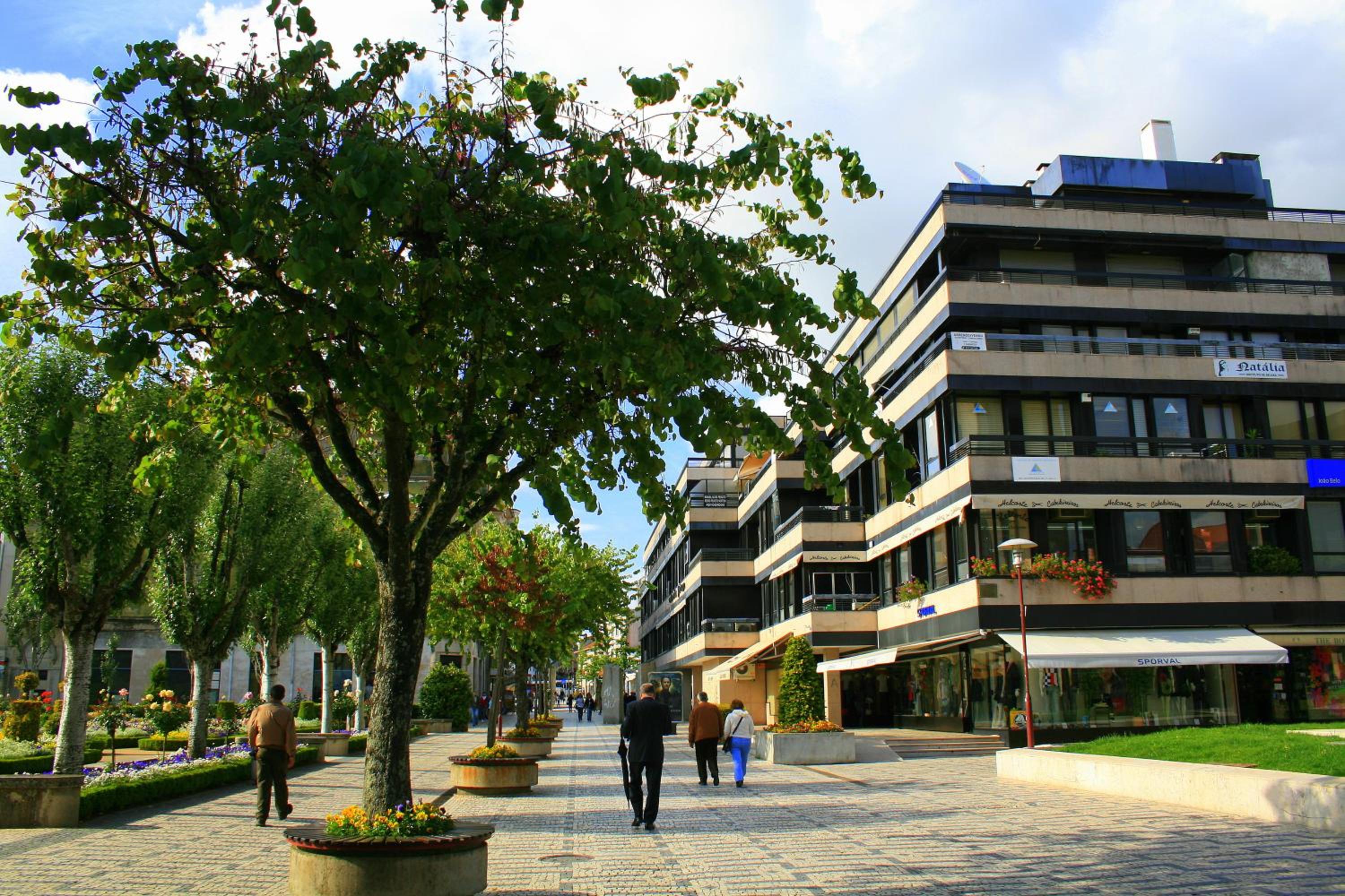 Flat Accommodation in Braga view 5
