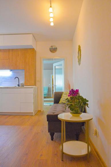 Apartament Miloia-Timisoara view 2