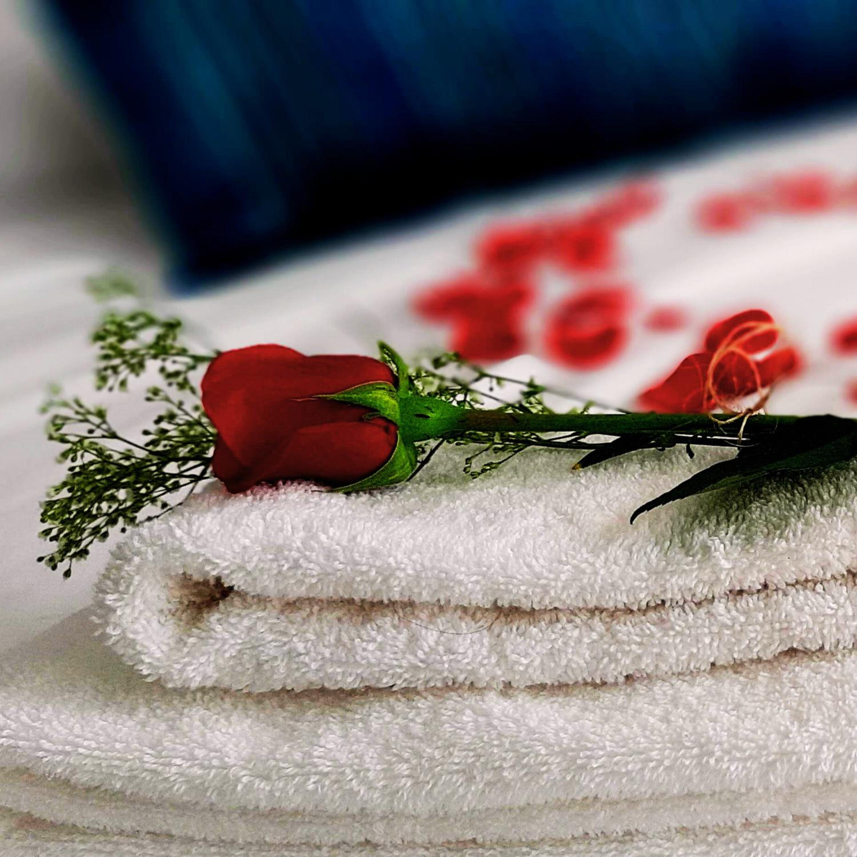 Domo Romántico Jacuzzi Vista Montaña