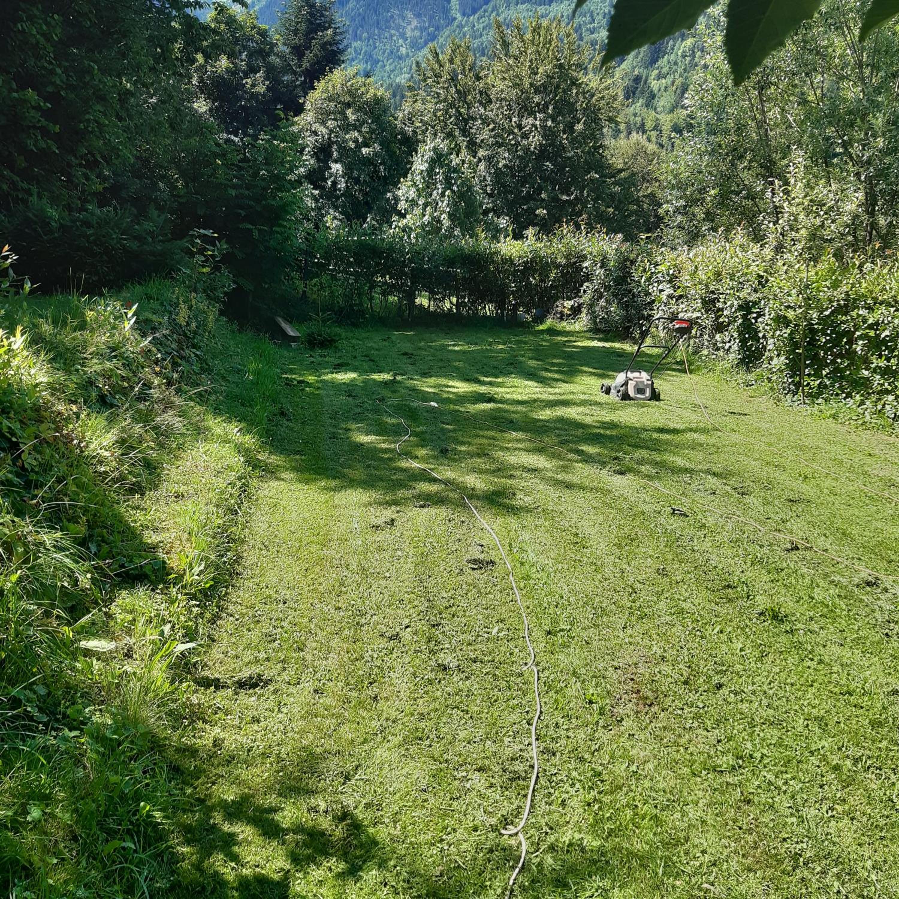 Photo 35