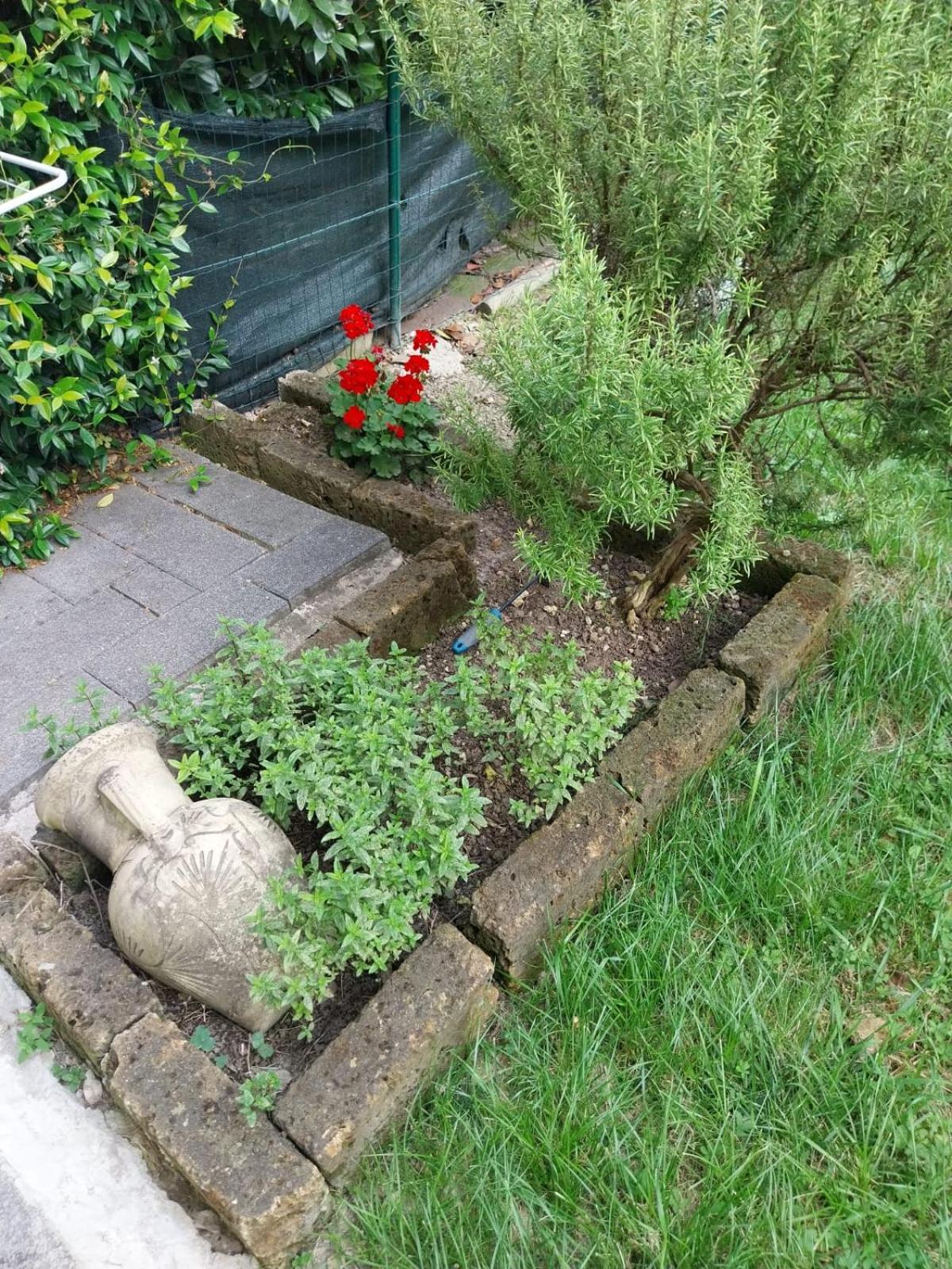 Photo 22