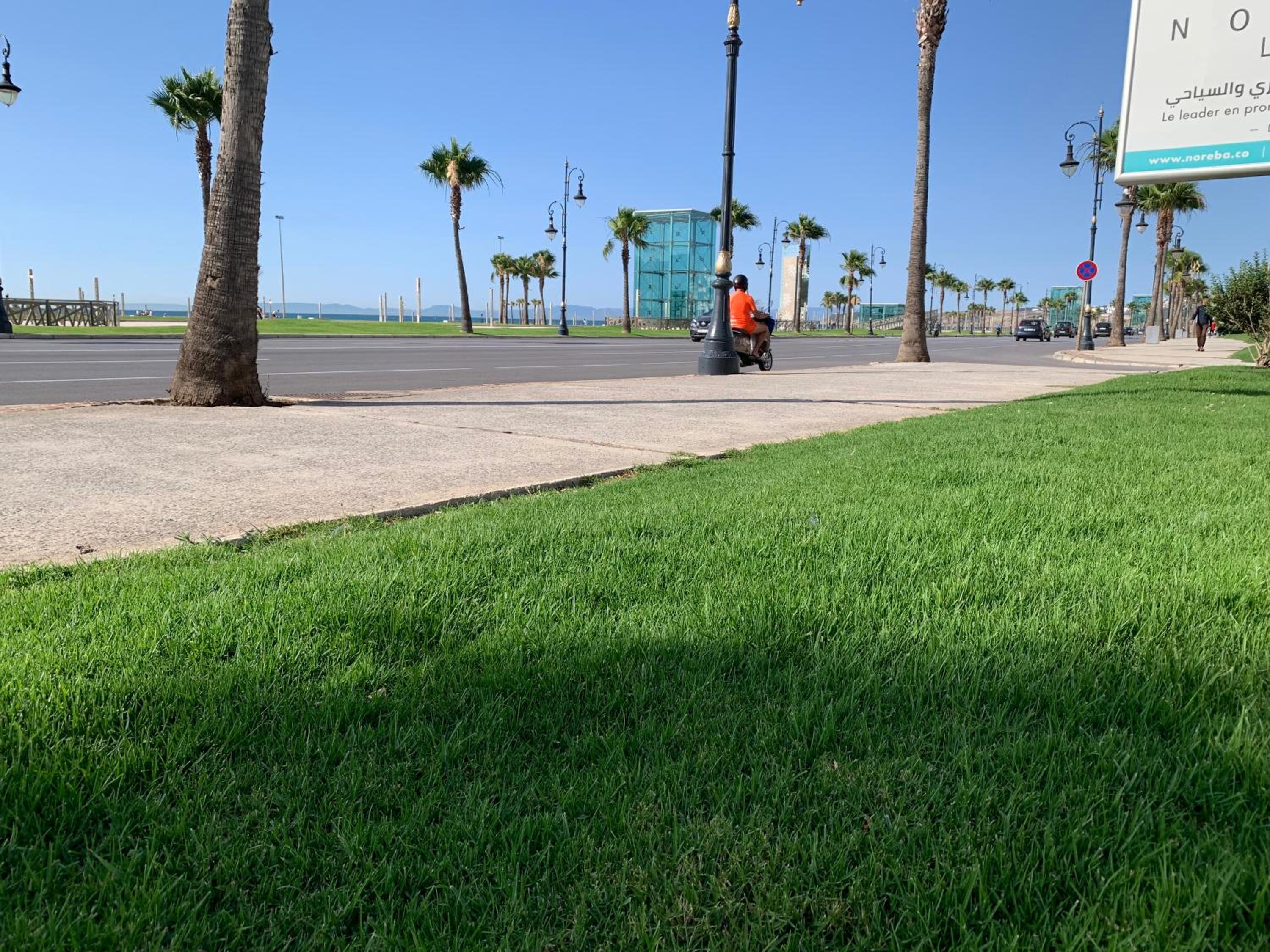 Photo 33