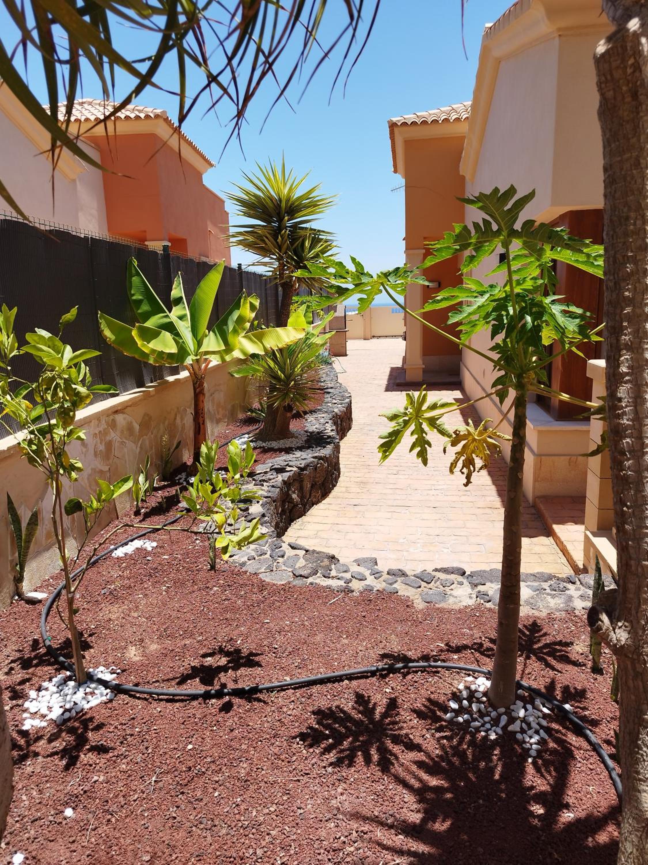 Hotel Casa Lily - Image 1