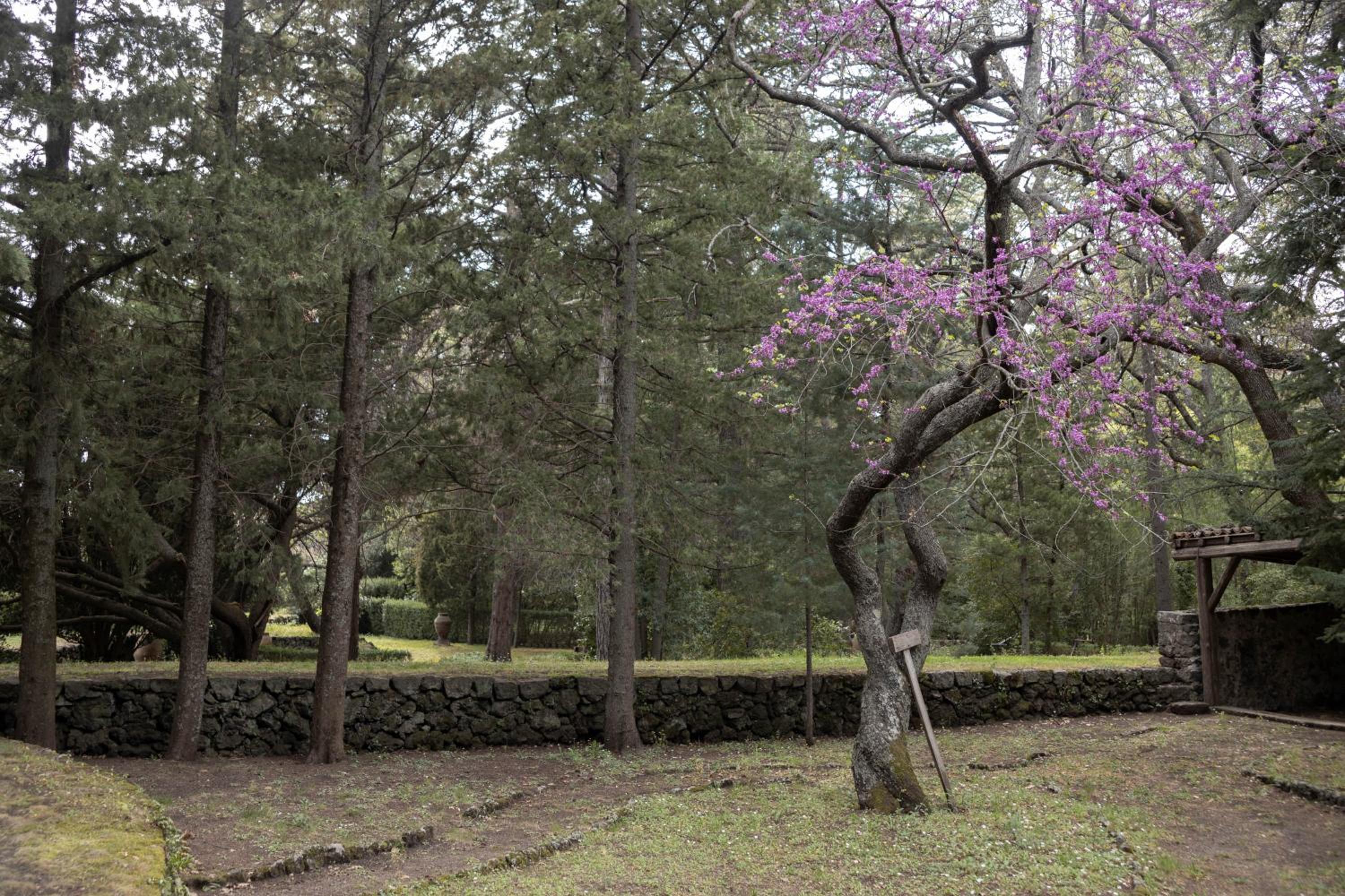 Parco Statella