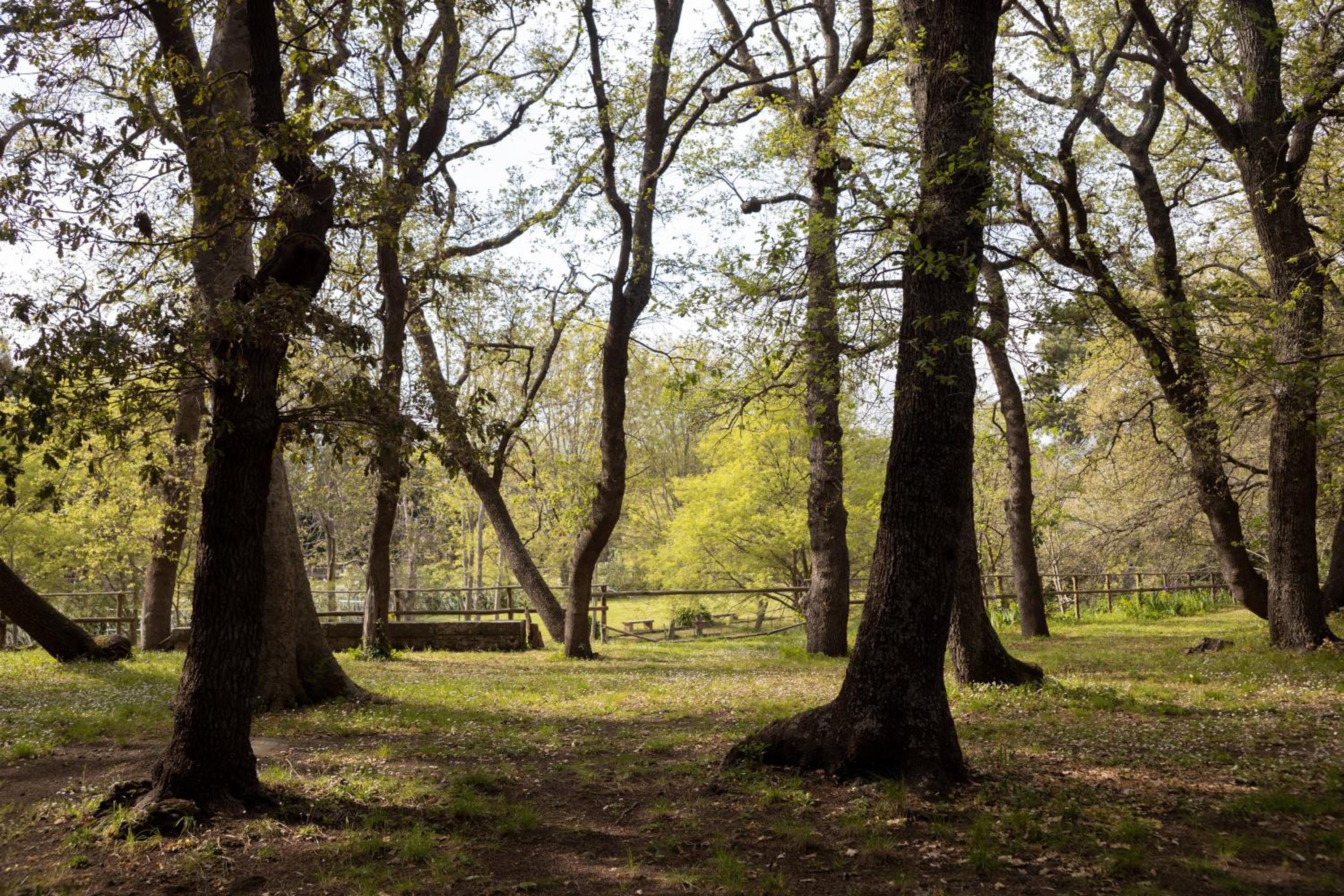 Parco Statella
