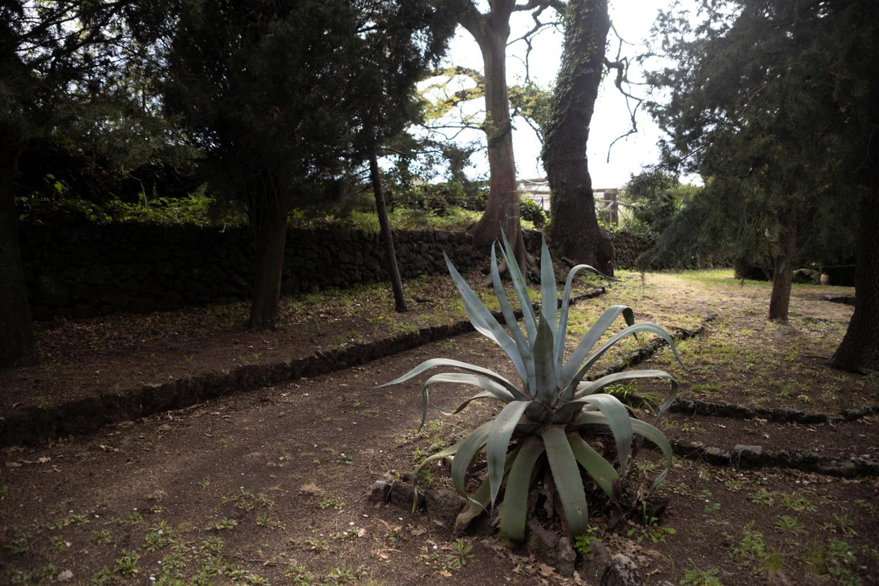 Parco Statella