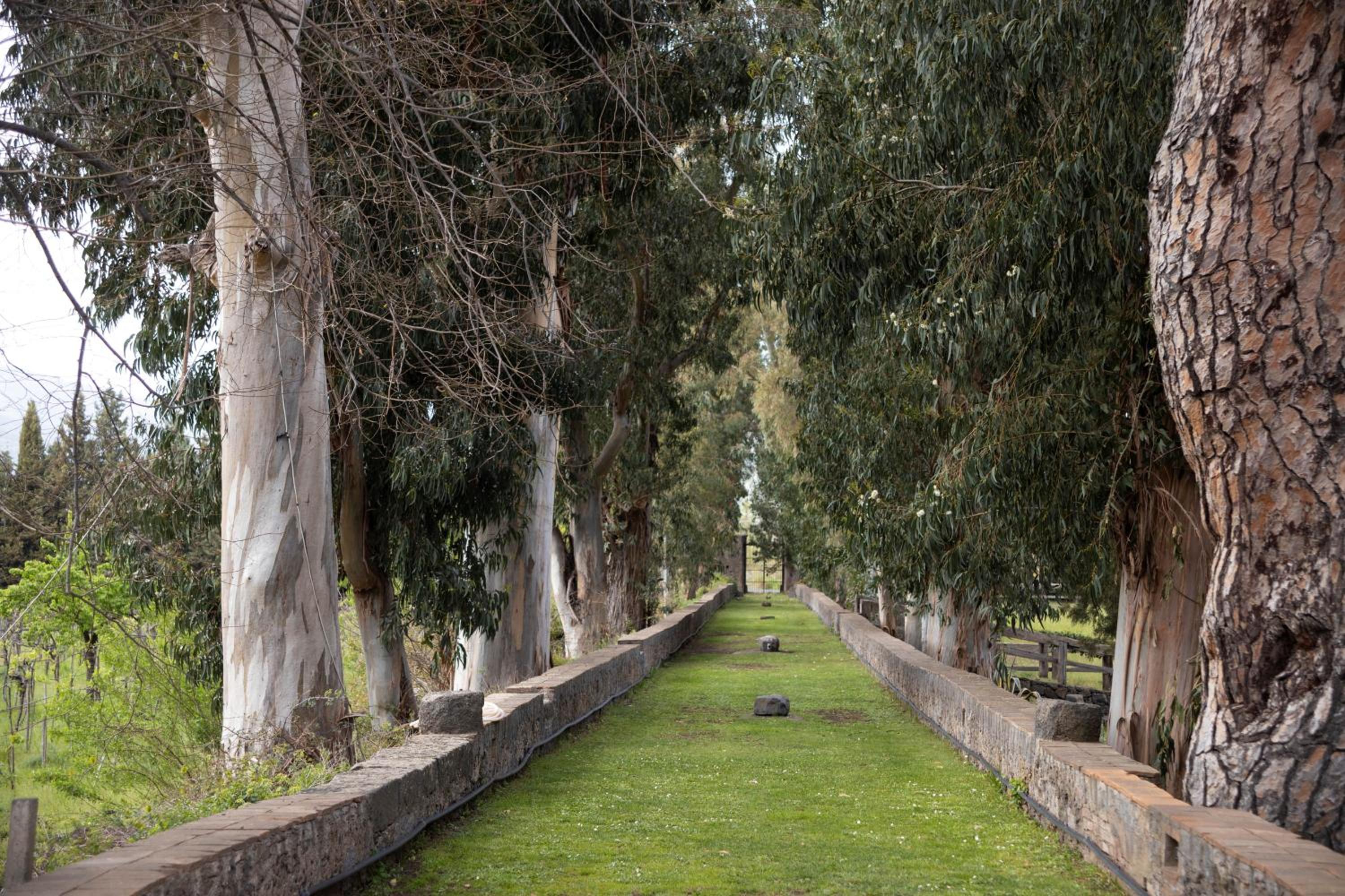Parco Statella