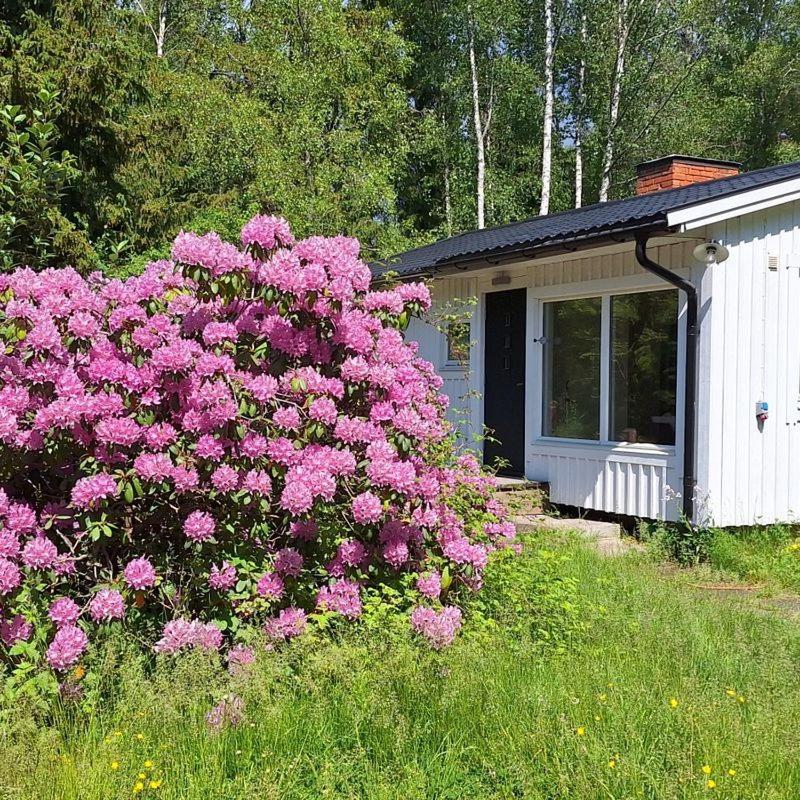 Villa för vilsam semester