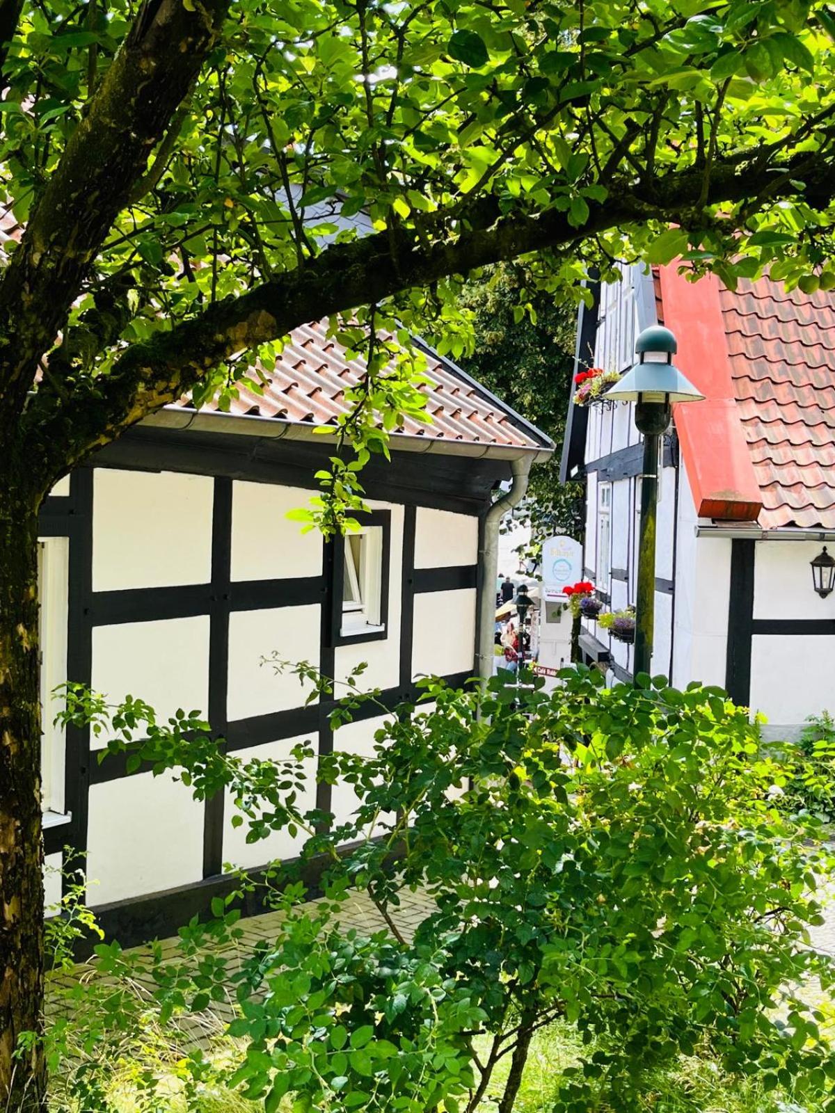 Lateinschule
