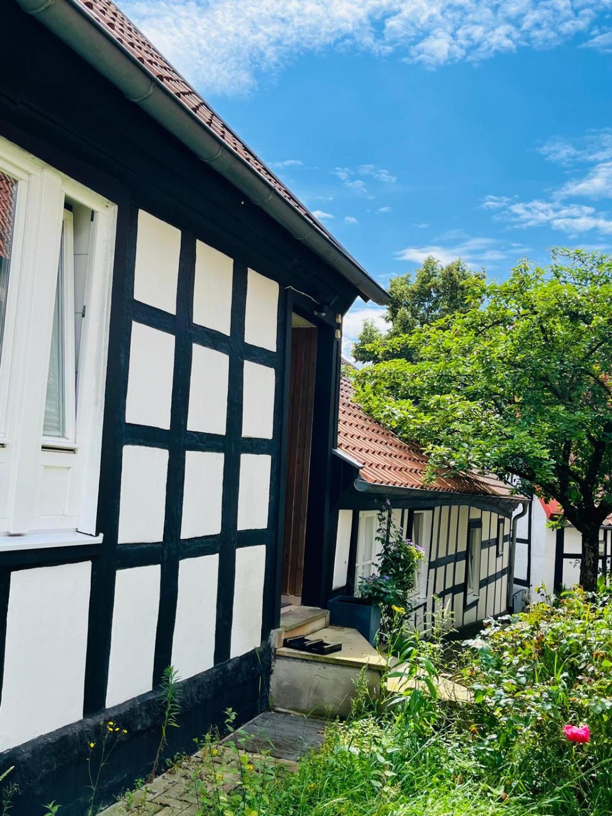 Lateinschule