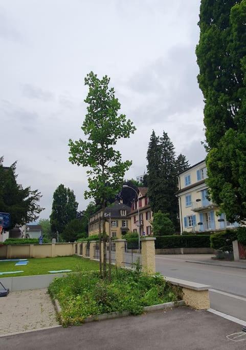 Romantisches Studio in der City Luzern Yellow