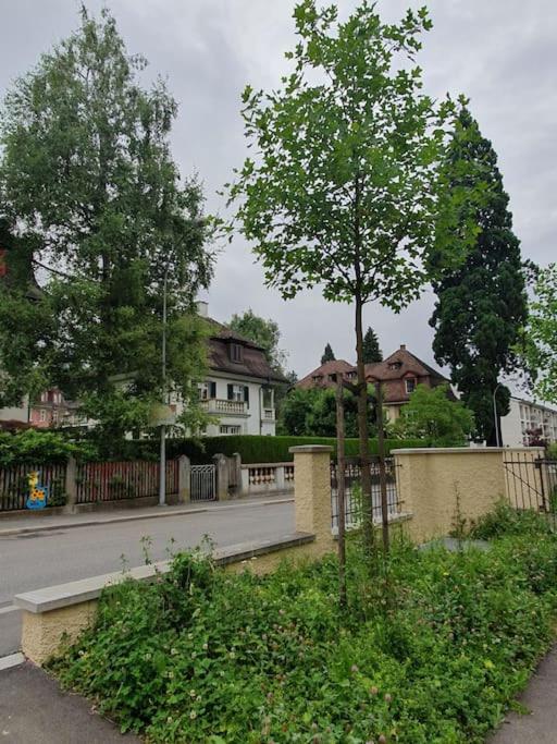 Romantisches Studio in der City Luzern Yellow