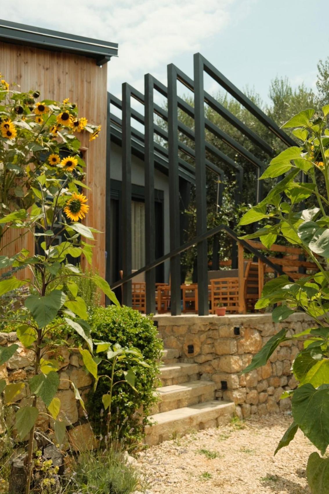 Mawa Cottage photo 4