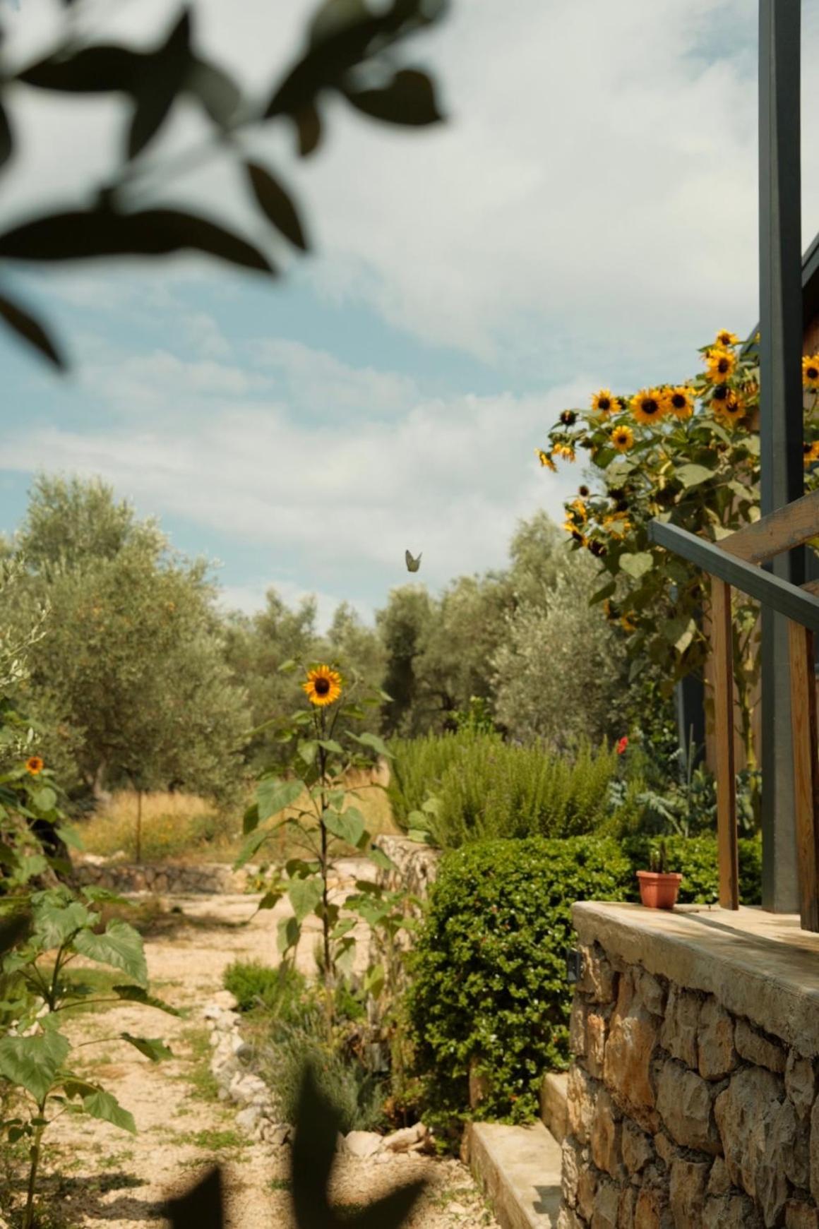 Mawa Cottage photo 3