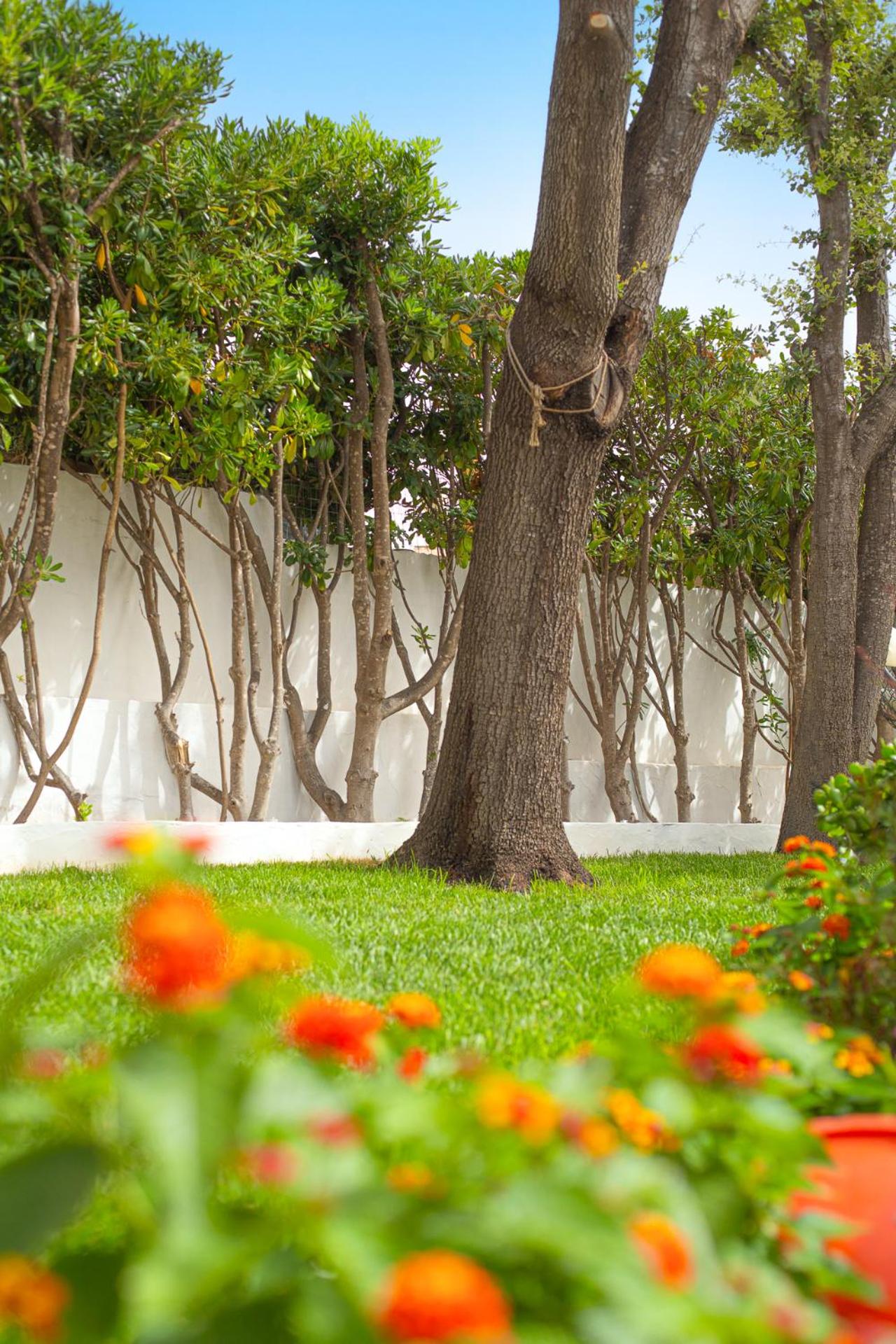 Casa Masini San Teodoro