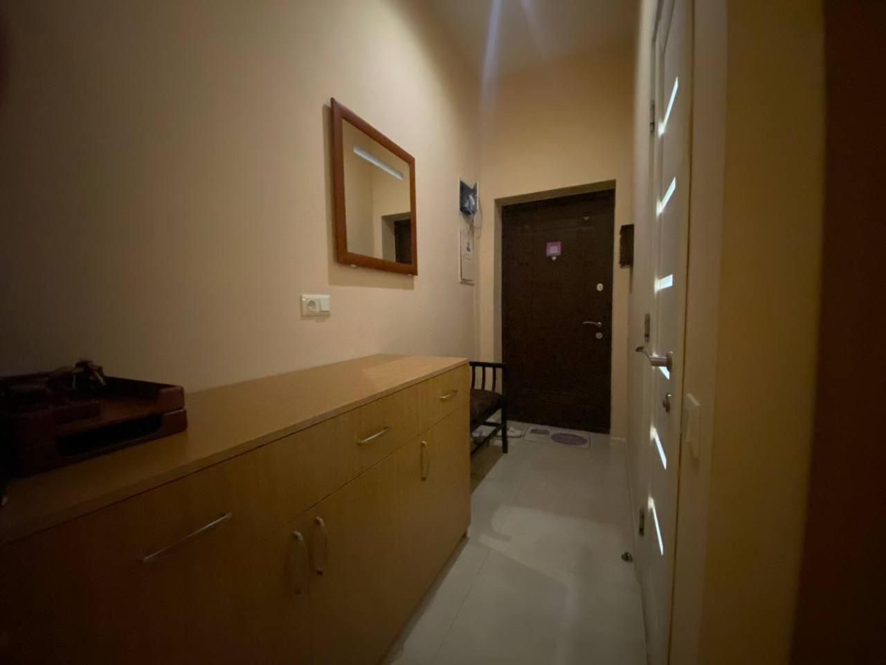 VIP apartments in the center view 5