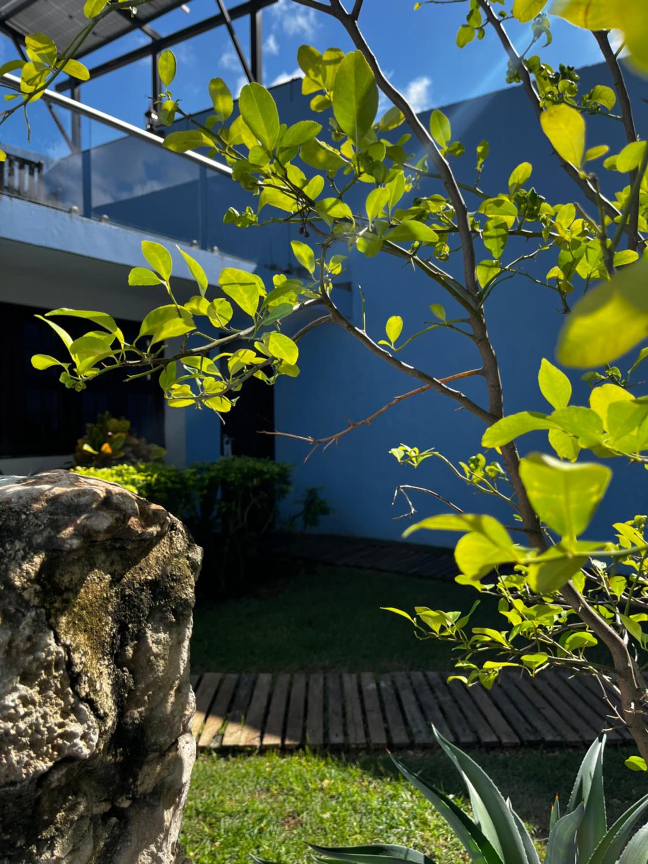 Campeche Vacations - Hotel Maculis - Property Image 19