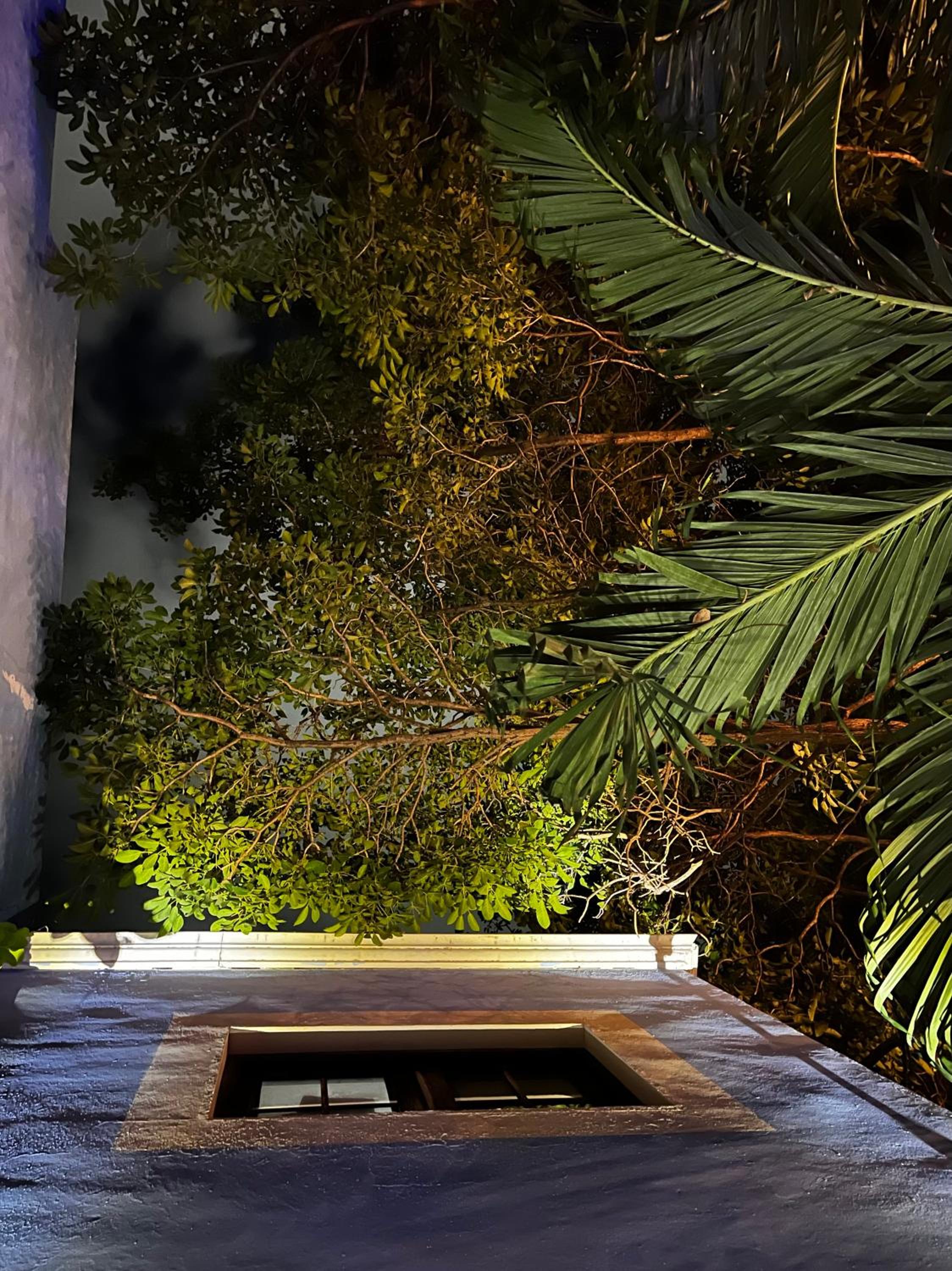 Campeche Vacations - Hotel Maculis - Property Image 21