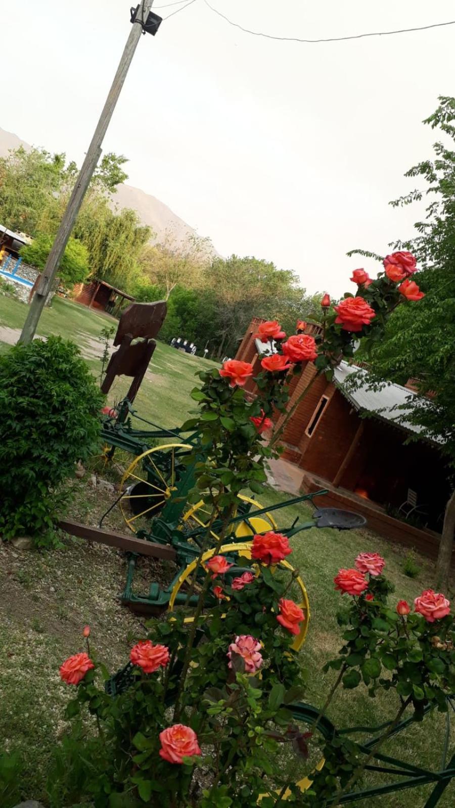cabañas los perales