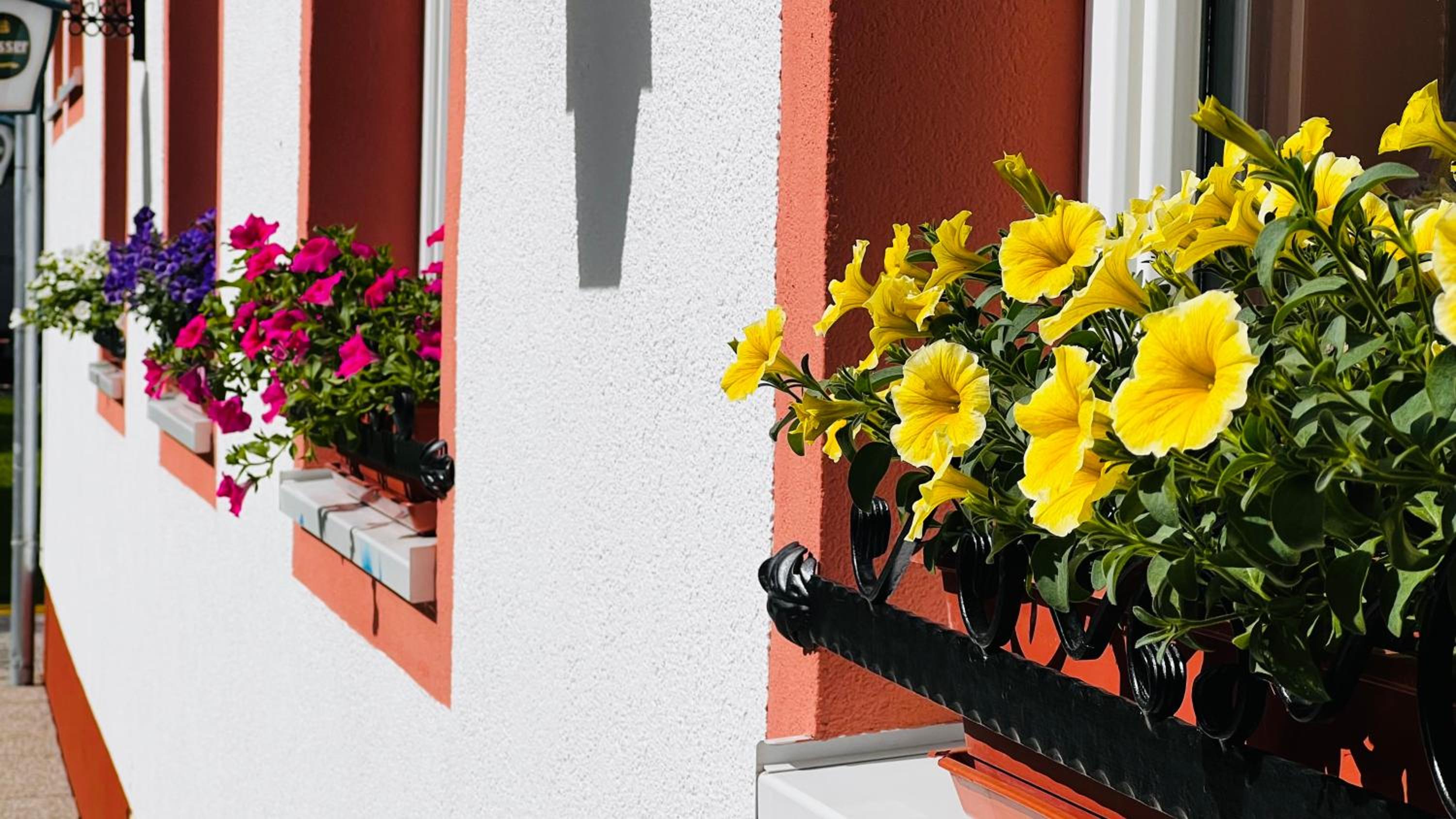 IMBACHHORN Pension in den Alpen