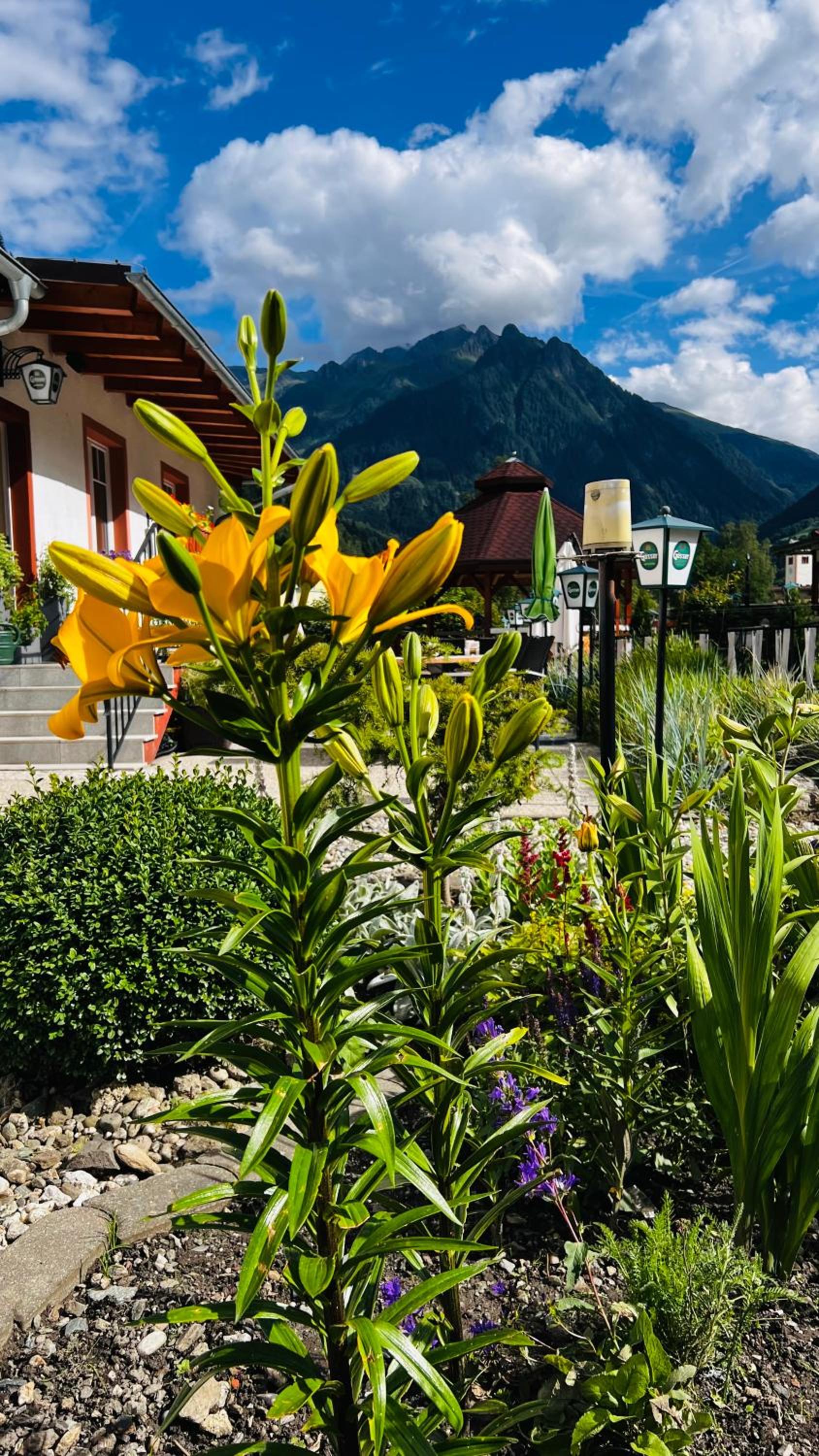 IMBACHHORN Pension in den Alpen