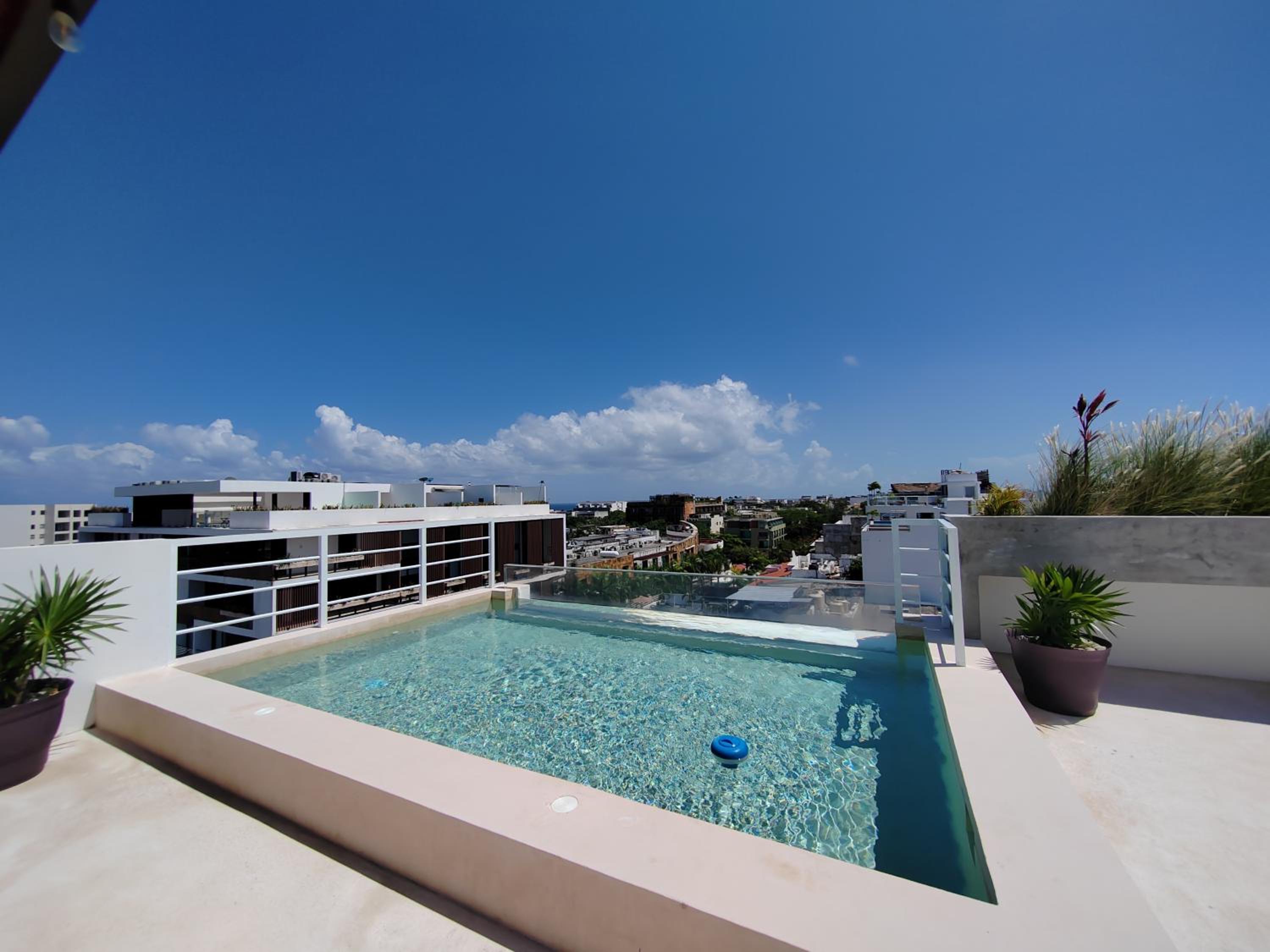 roof