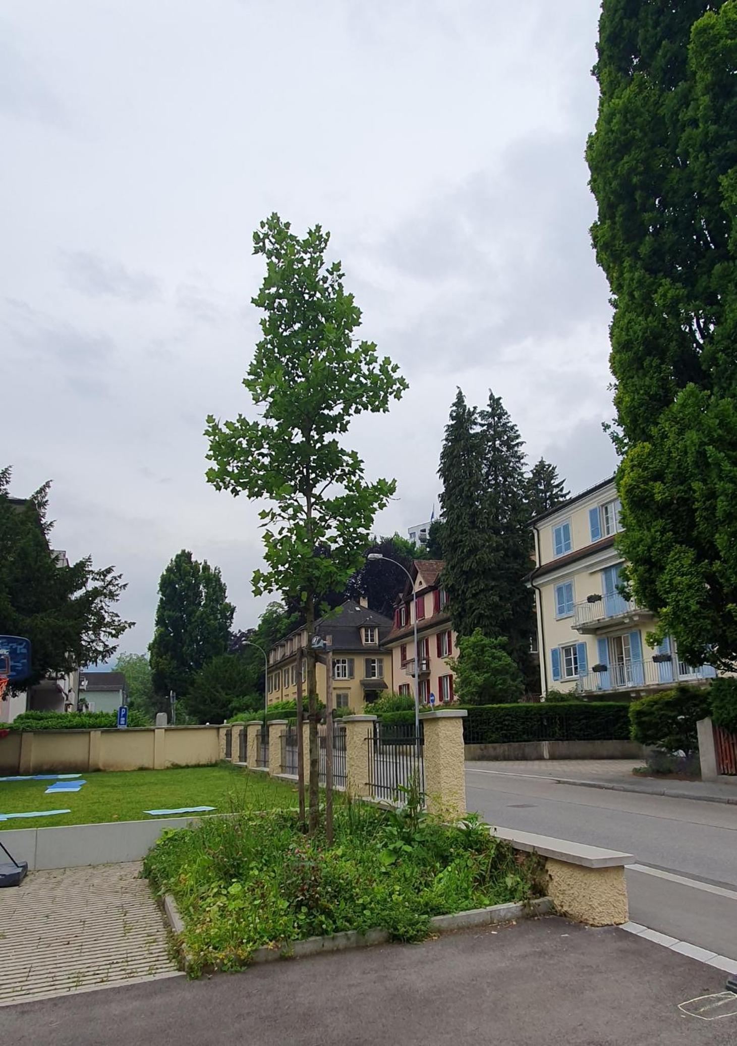 Romantisches Studio in der City Luzern Yellow