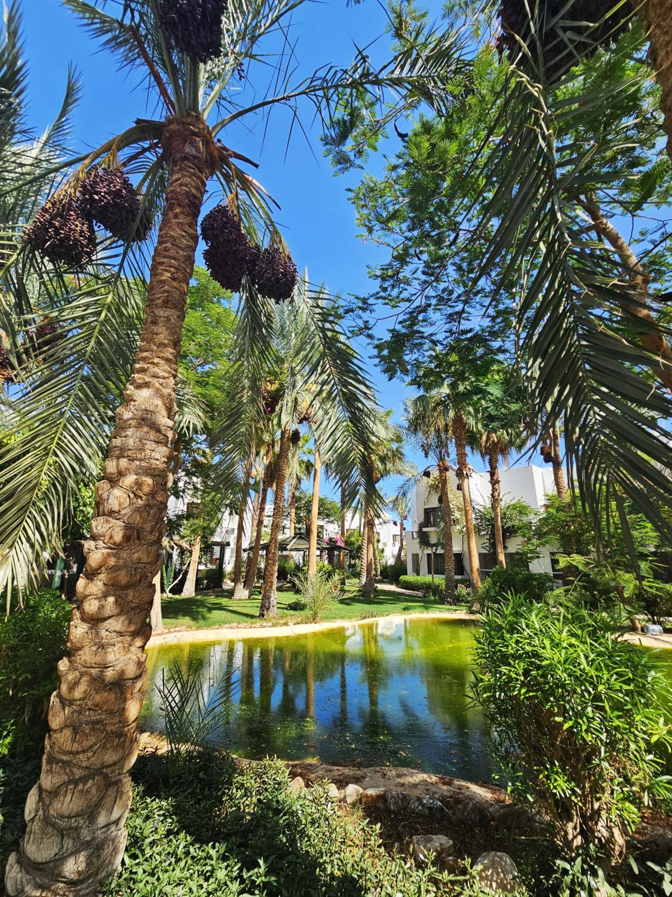 Blue Bay Apartments Delta Sharm
