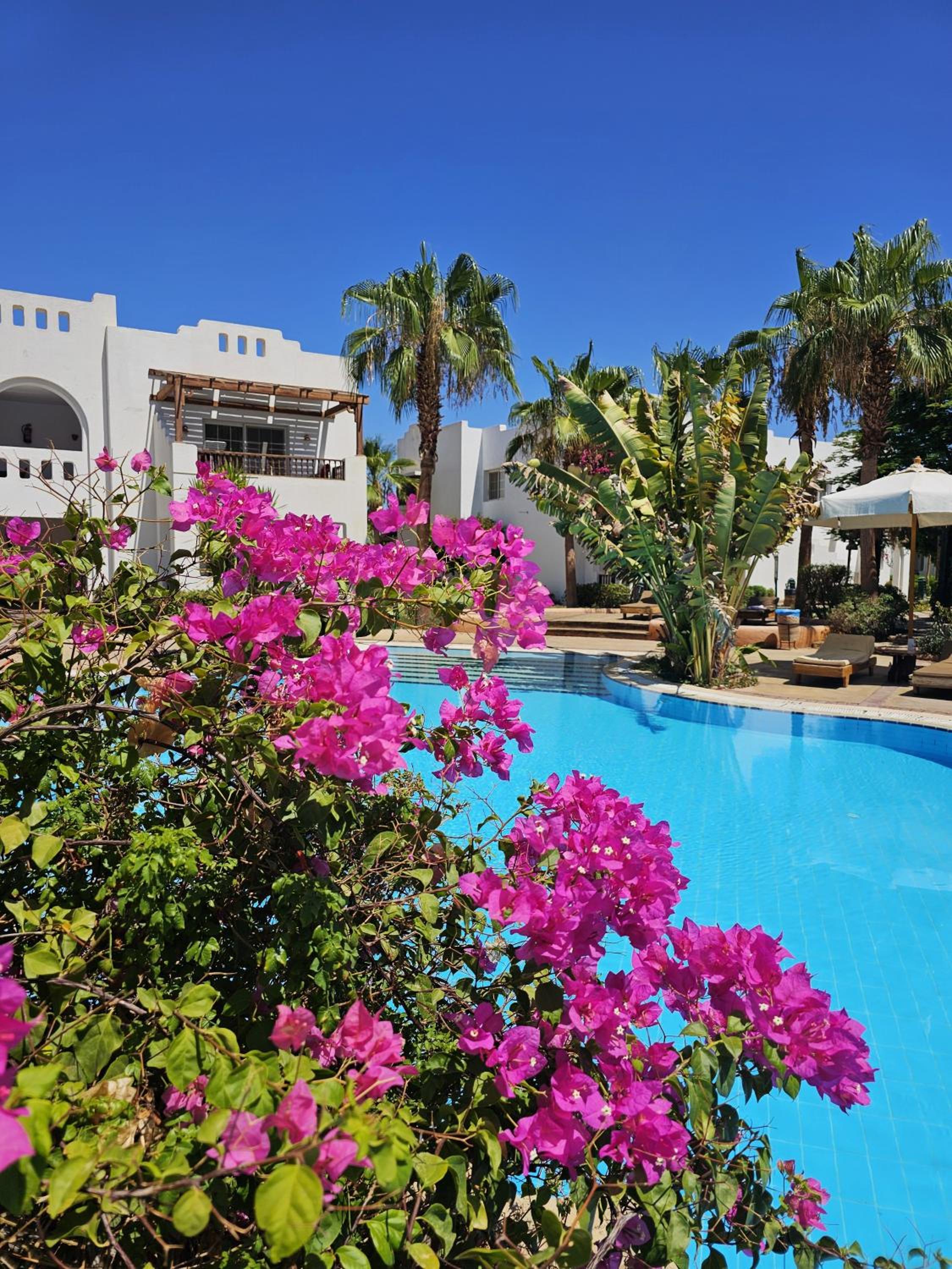 Blue Bay Apartments Delta Sharm
