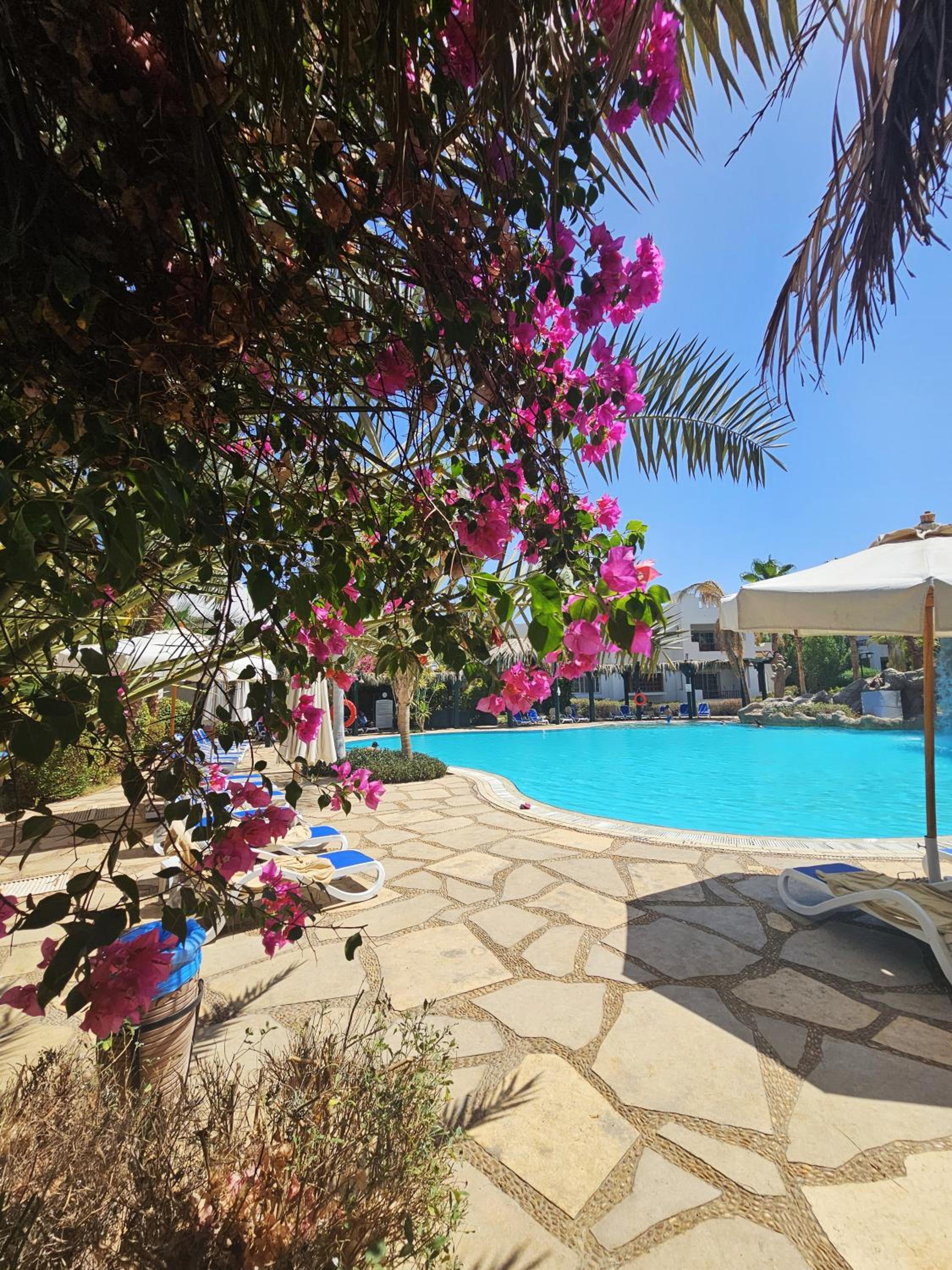 Blue Bay Apartments Delta Sharm