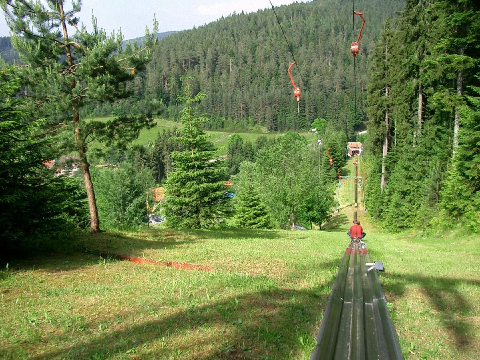Ferienwohnung Schwarzwald Tannenzäpfle