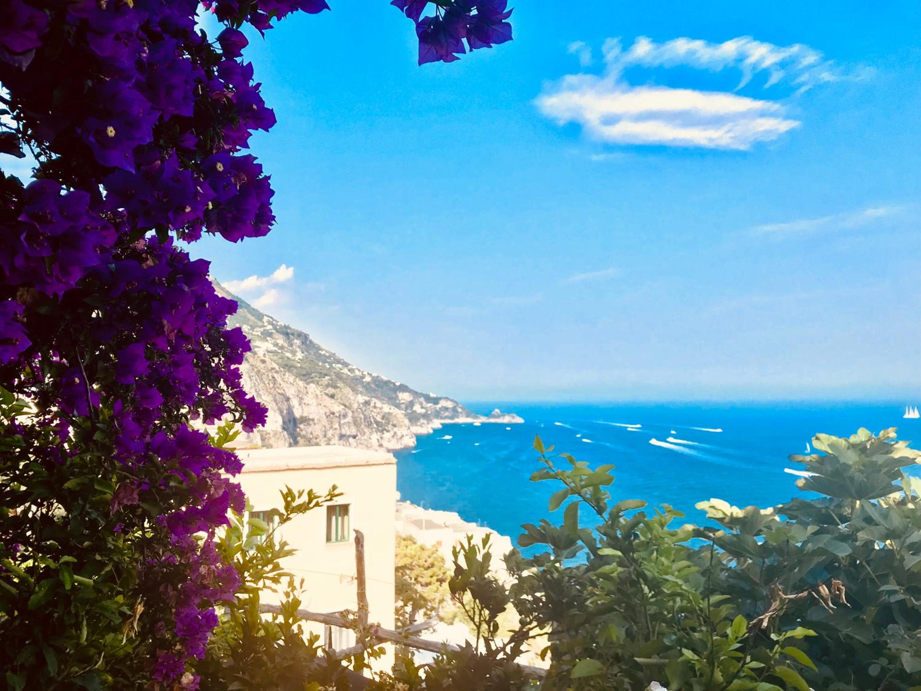 Monicas garden and the Sea