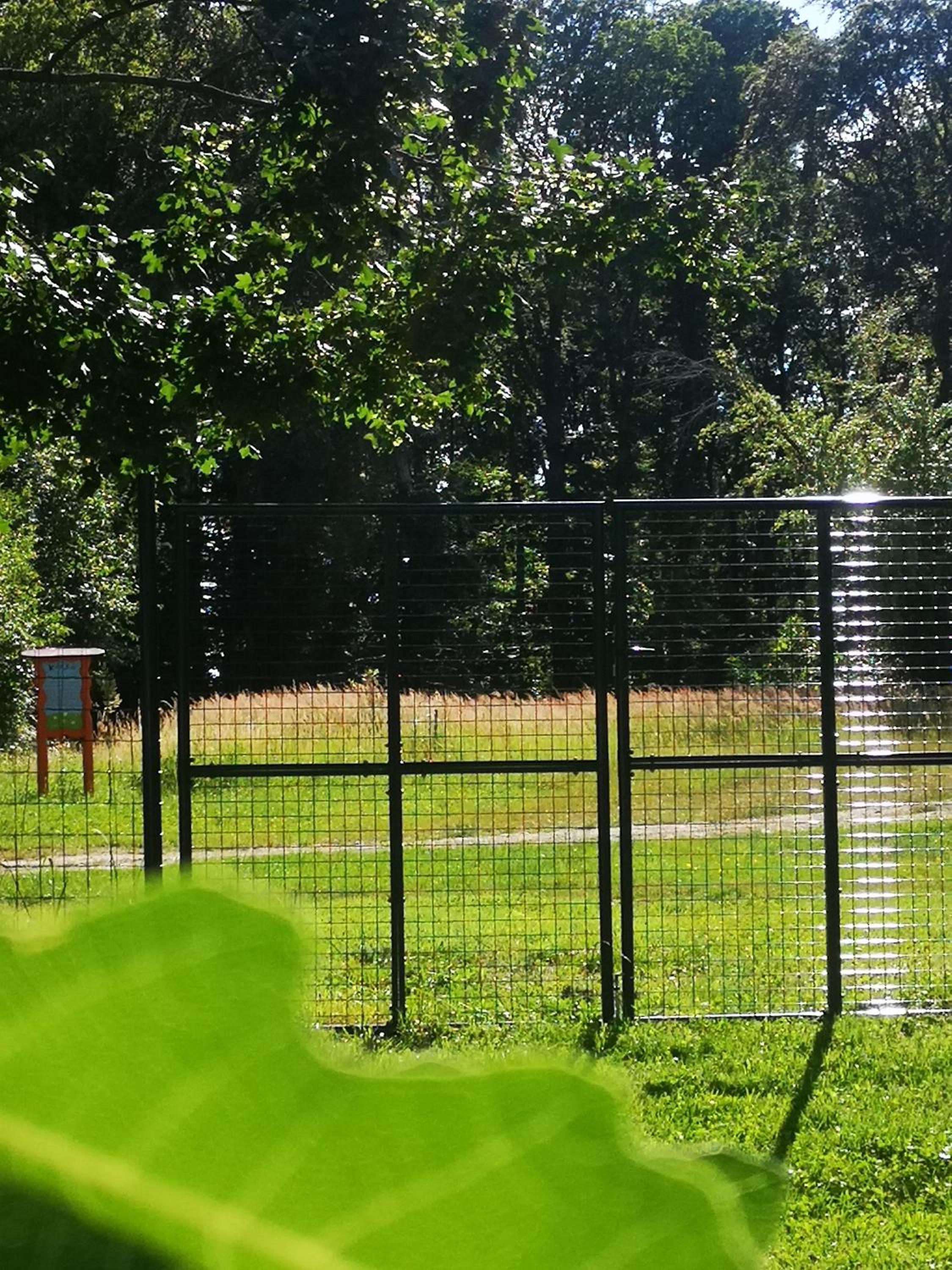 Blue Forest Retreat view 5