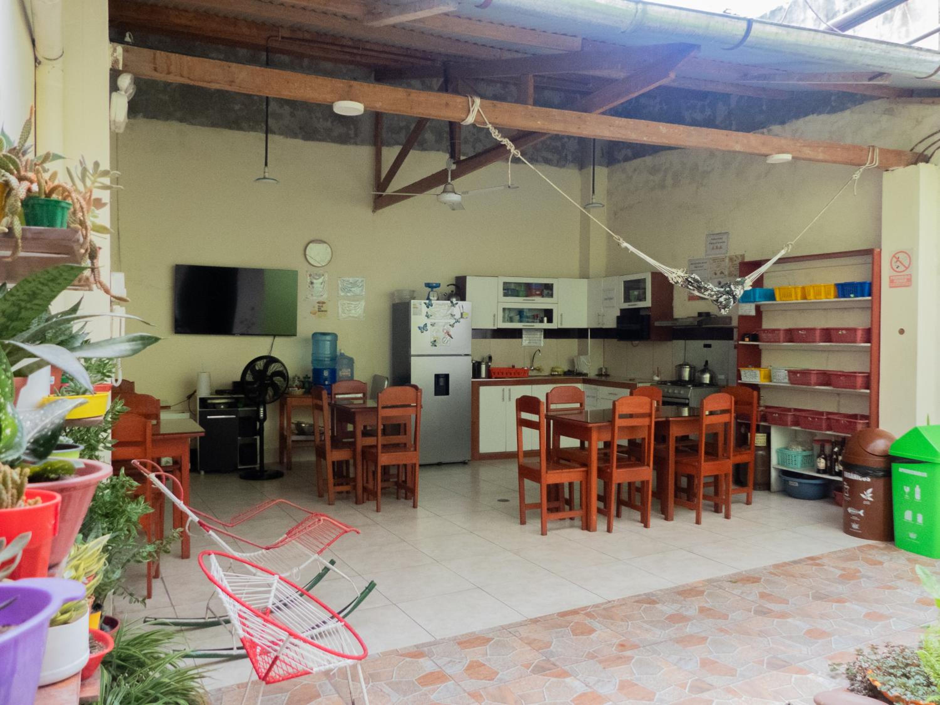 Moicca Youth Hostel view 3