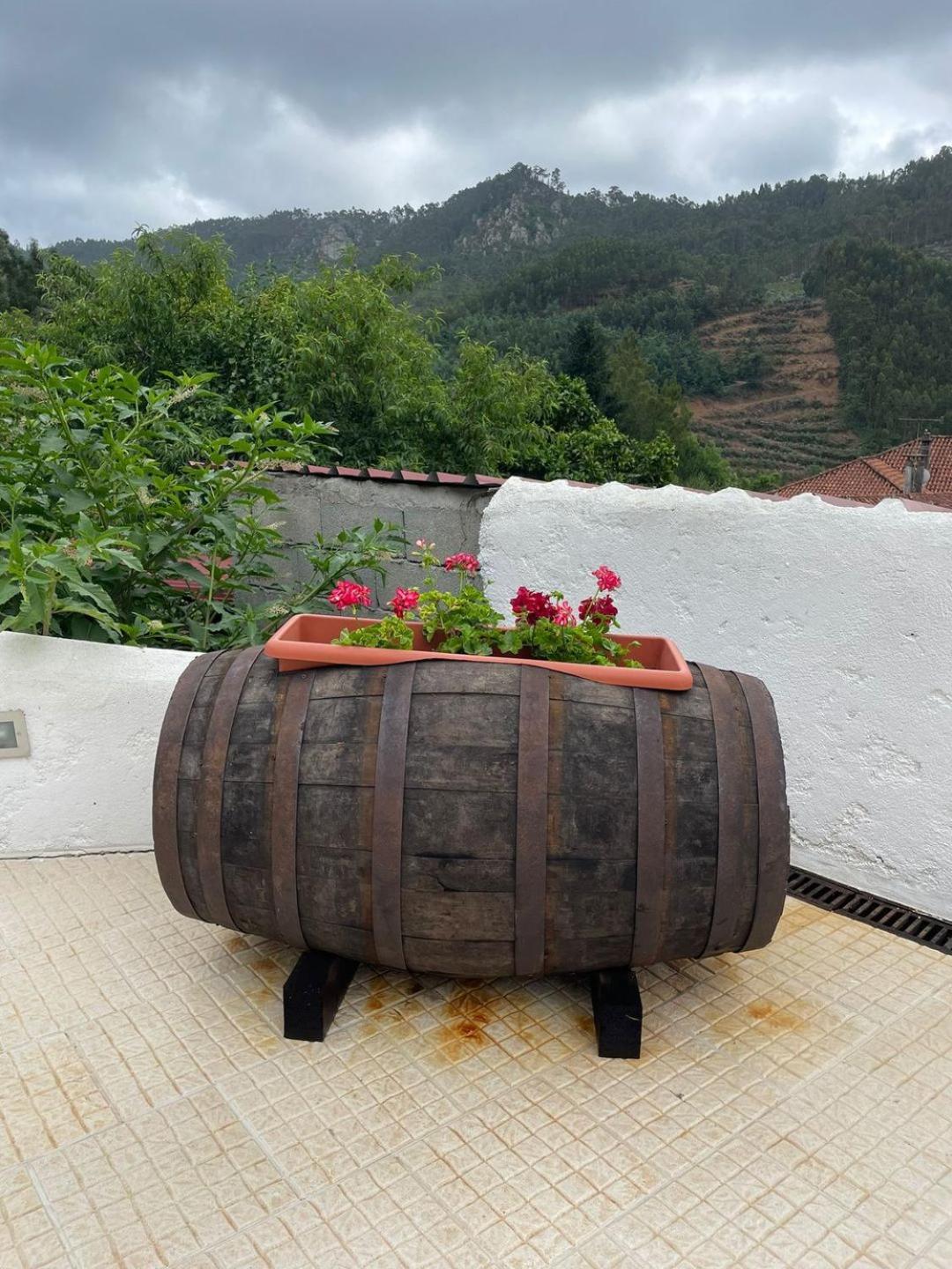 Casa Vila Rosa view 3