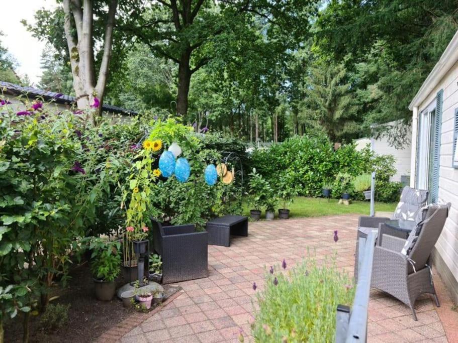 De Veluwe Flirt I fijn chalet met infraroodsauna view 2